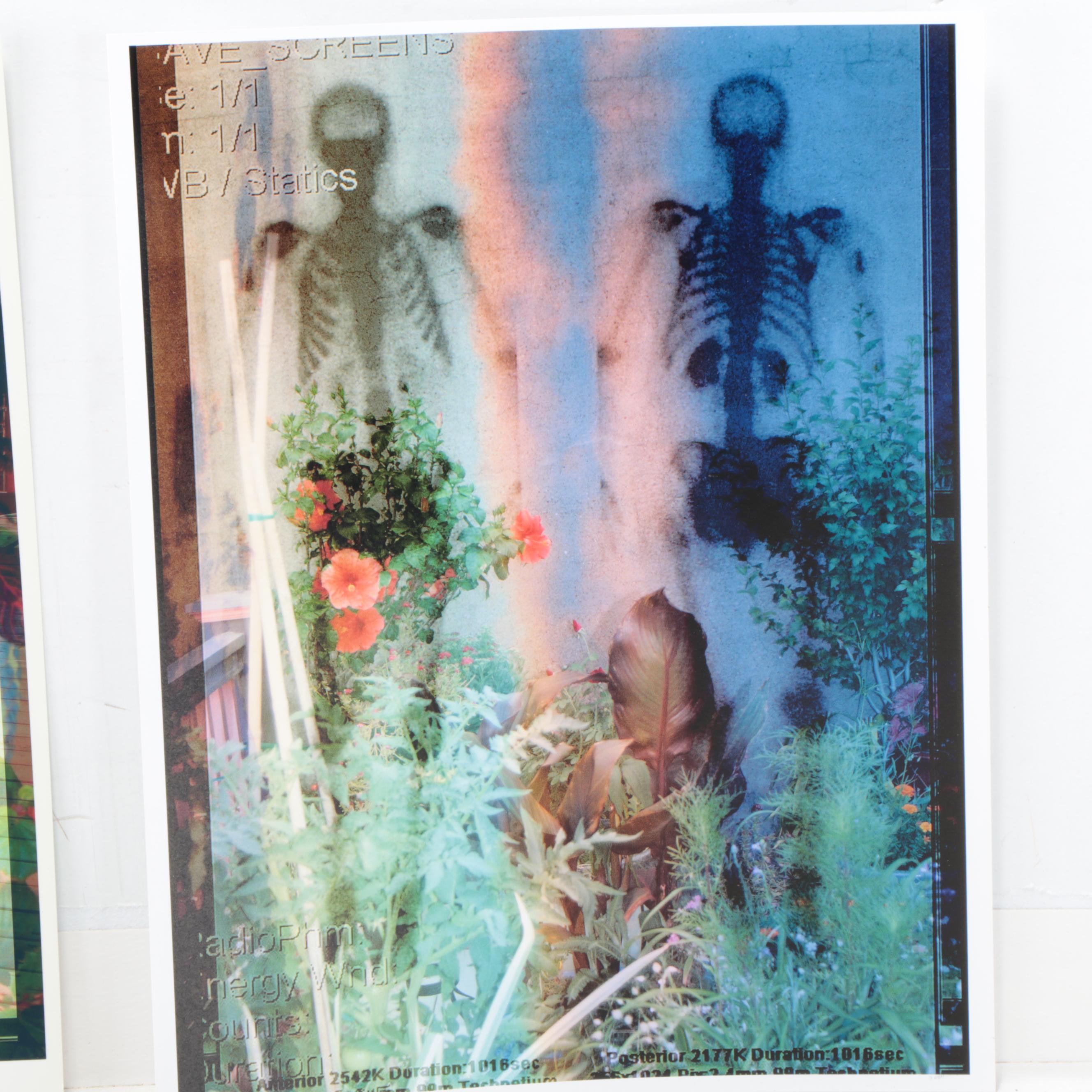 Sarah Roush Abstract Digital Collages of Skeletons,  2007