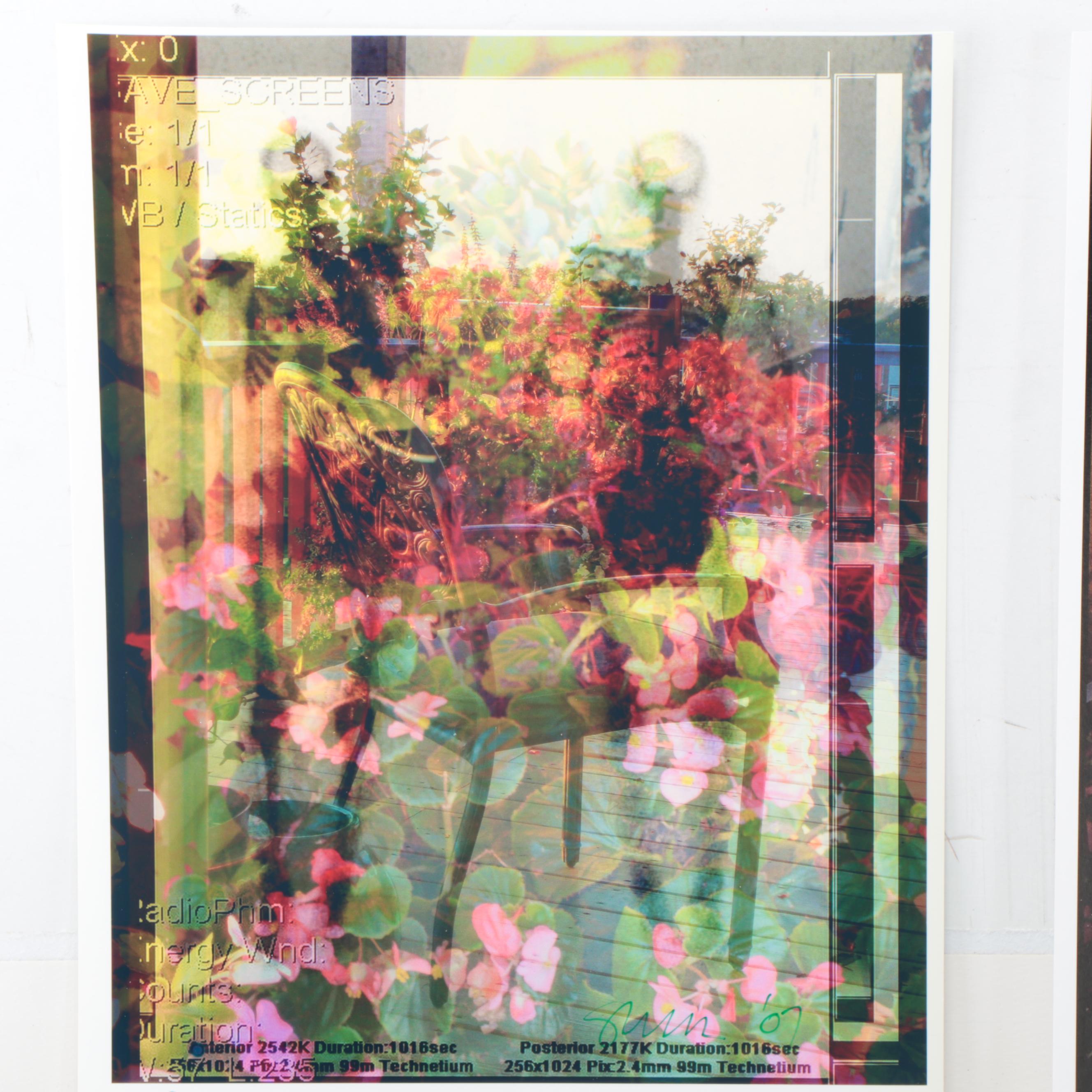 Sarah Roush Abstract Digital Collages of Skeletons,  2007