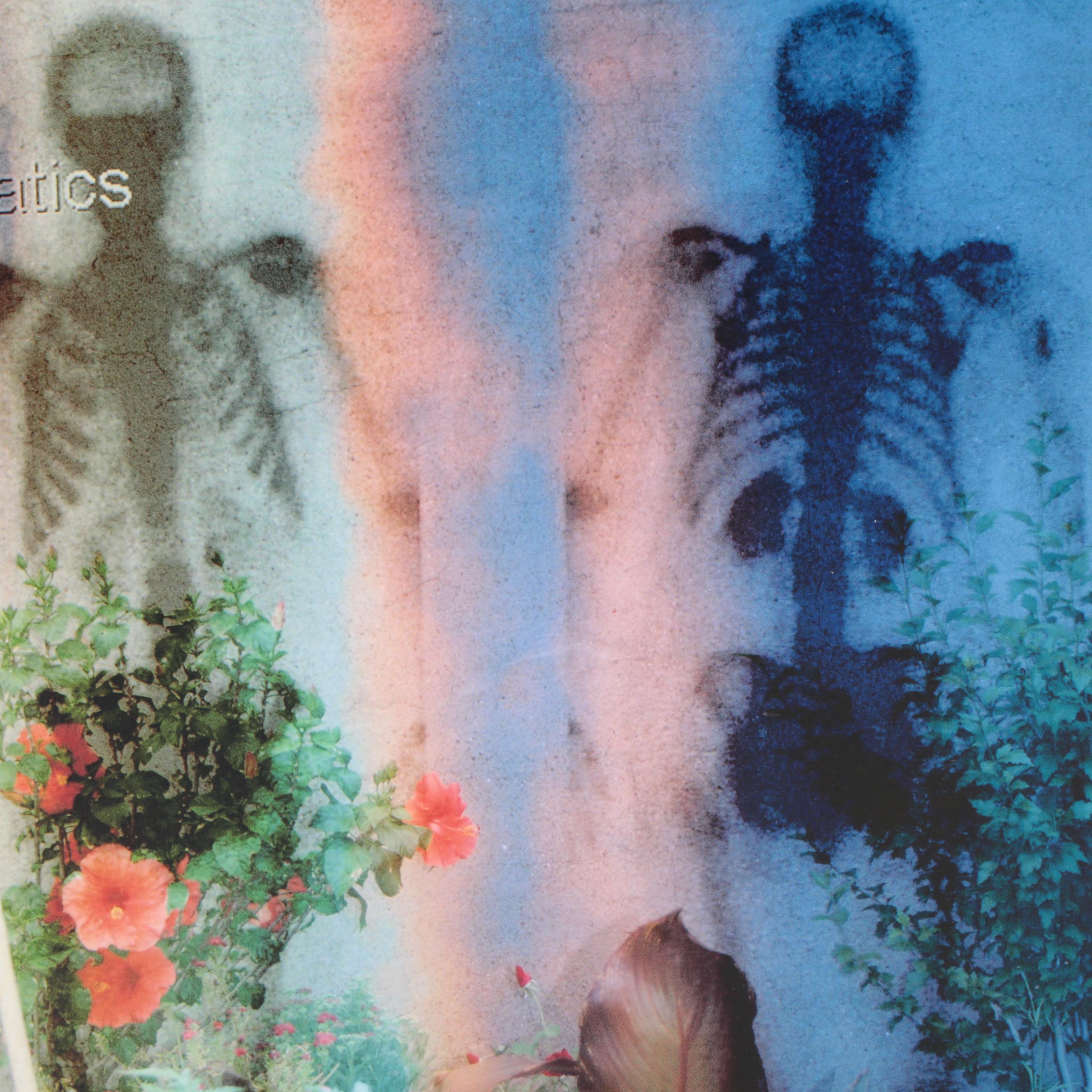 Sarah Roush Abstract Digital Collages of Skeletons,  2007