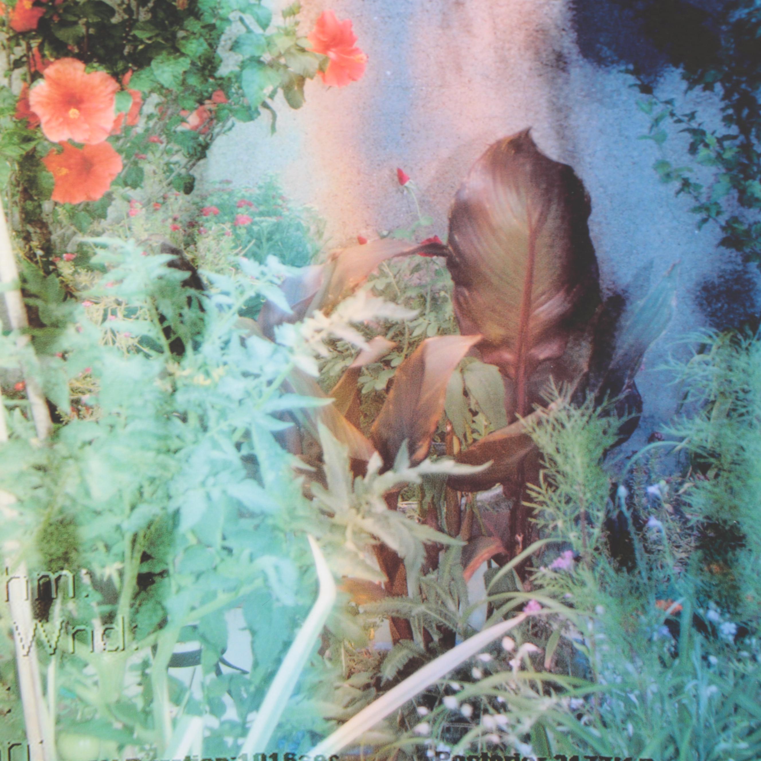 Sarah Roush Abstract Digital Collages of Skeletons,  2007