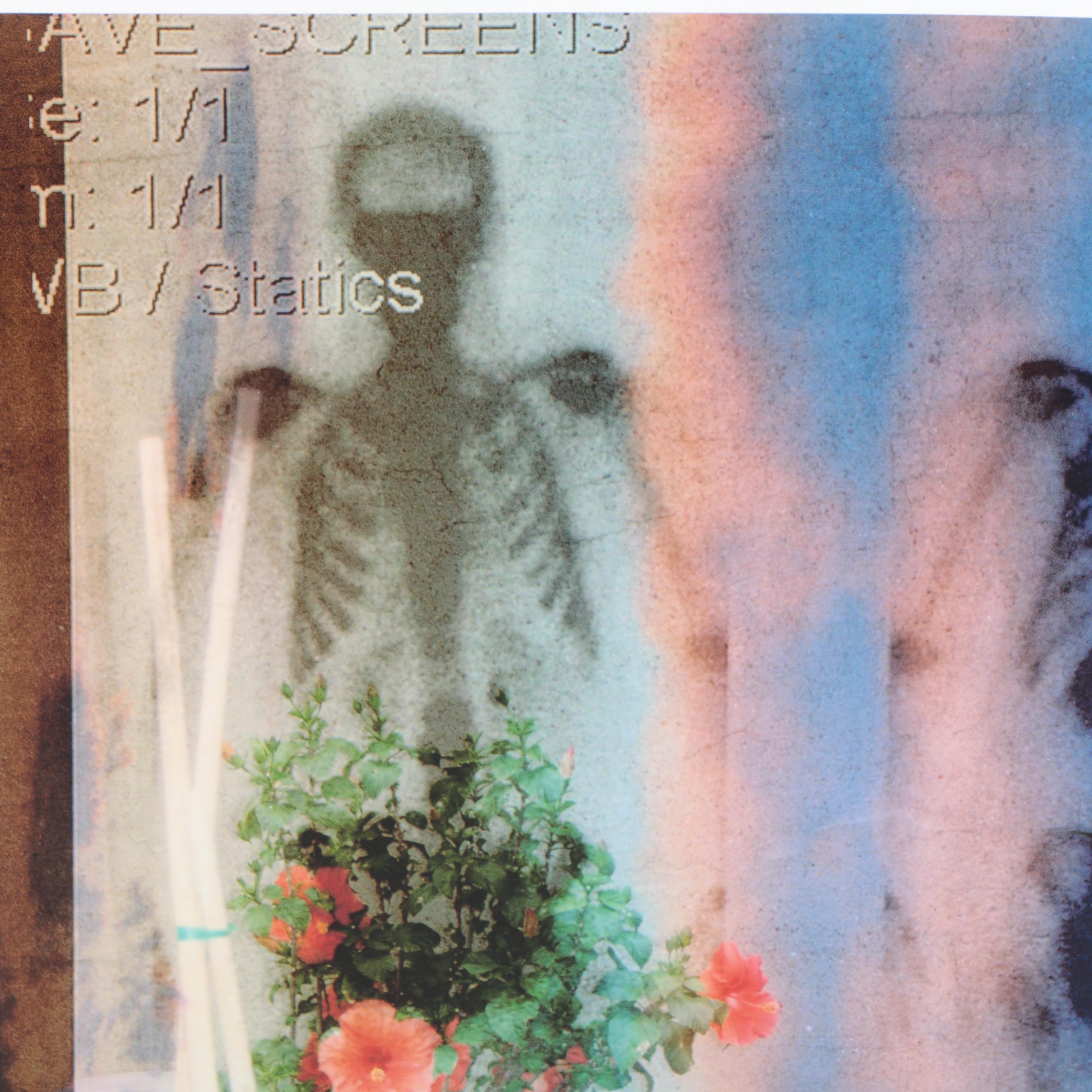 Sarah Roush Abstract Digital Collages of Skeletons,  2007