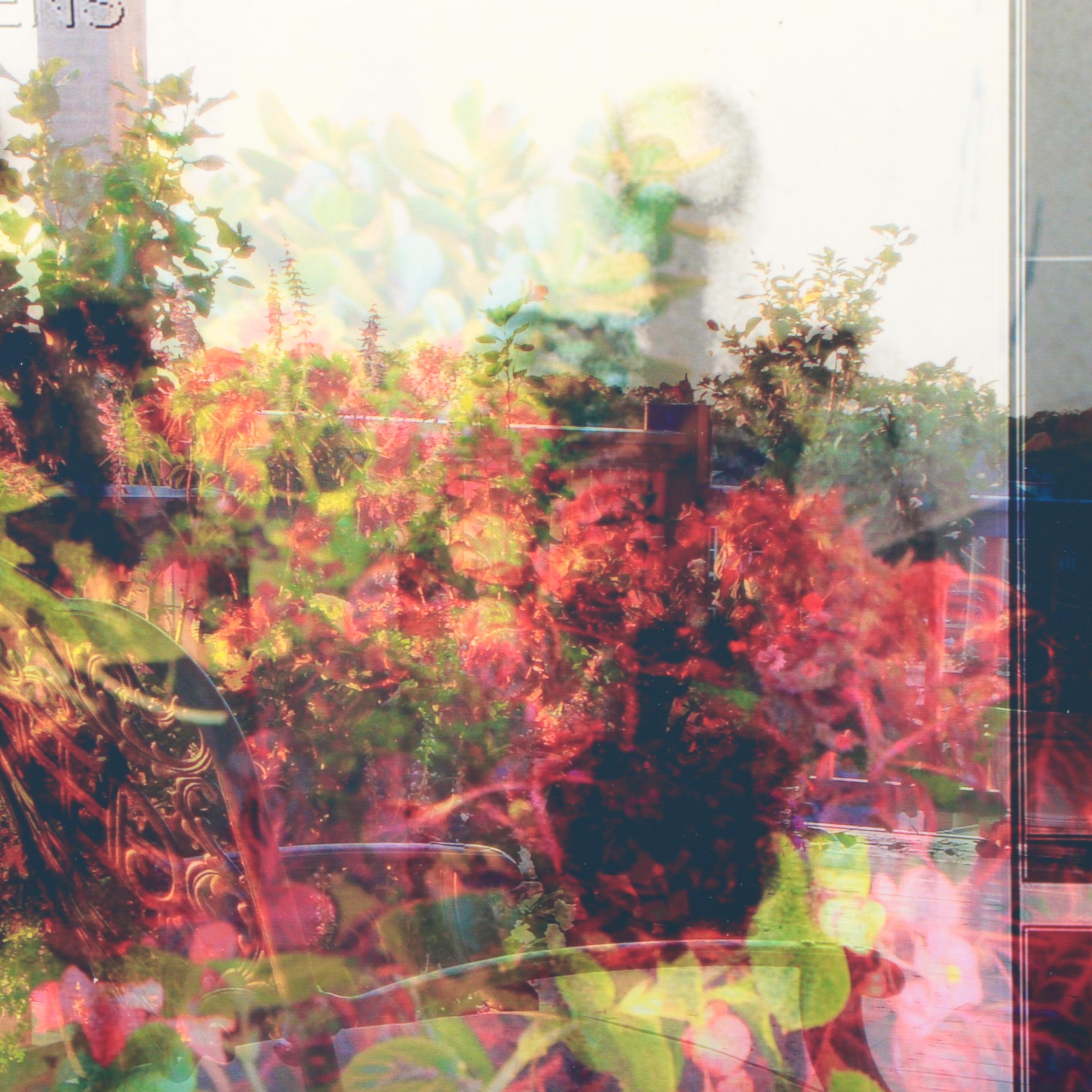 Sarah Roush Abstract Digital Collages of Skeletons,  2007