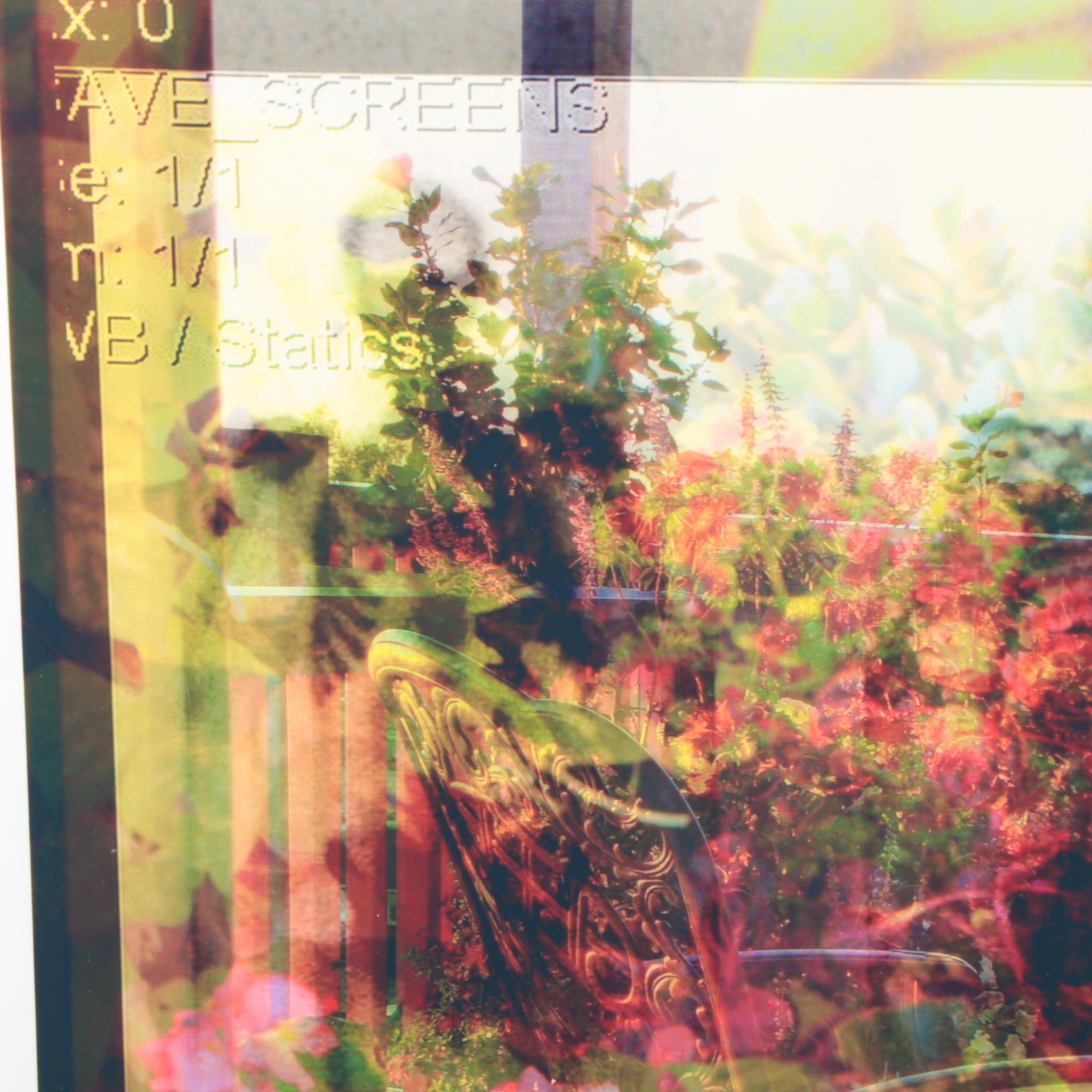 Sarah Roush Abstract Digital Collages of Skeletons,  2007