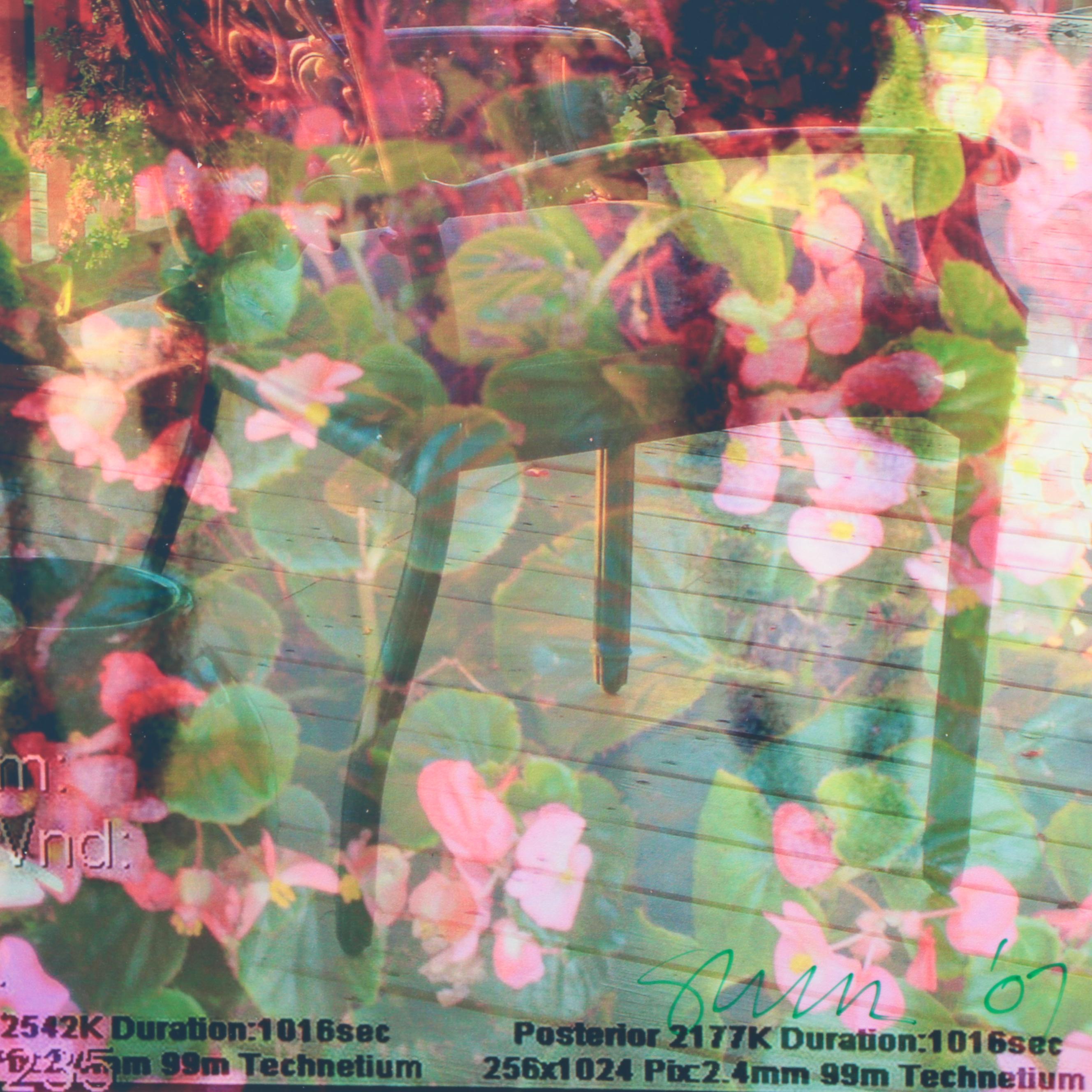 Sarah Roush Abstract Digital Collages of Skeletons,  2007