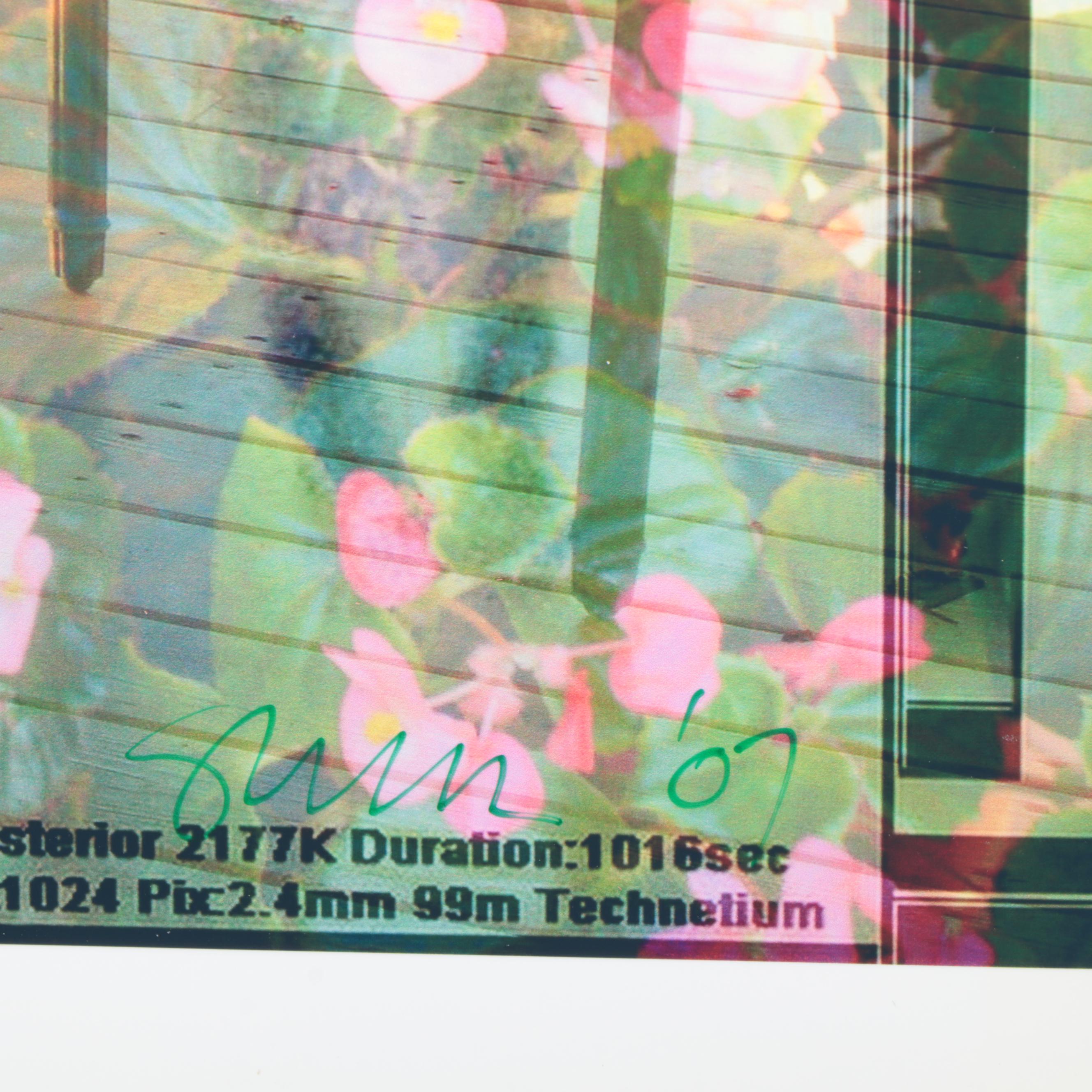 Sarah Roush Abstract Digital Collages of Skeletons,  2007