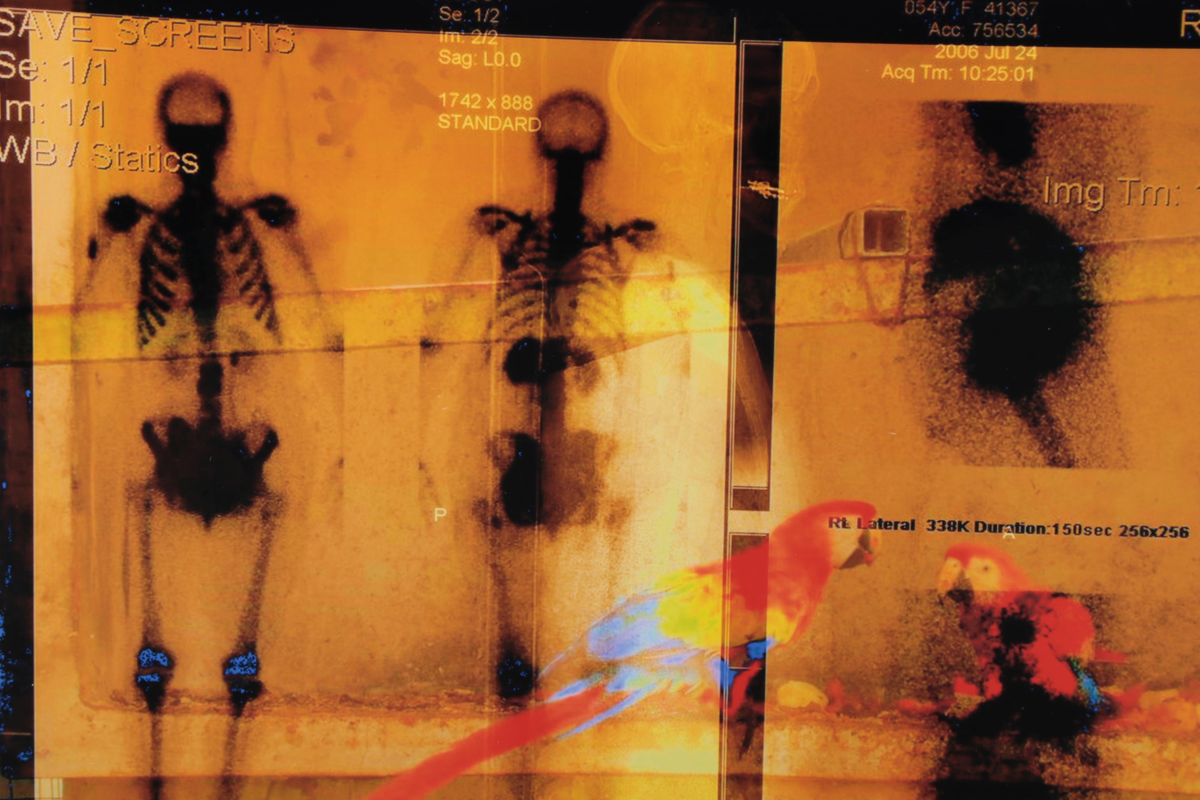 Sarah Roush Abstract Digital Collage, 2008