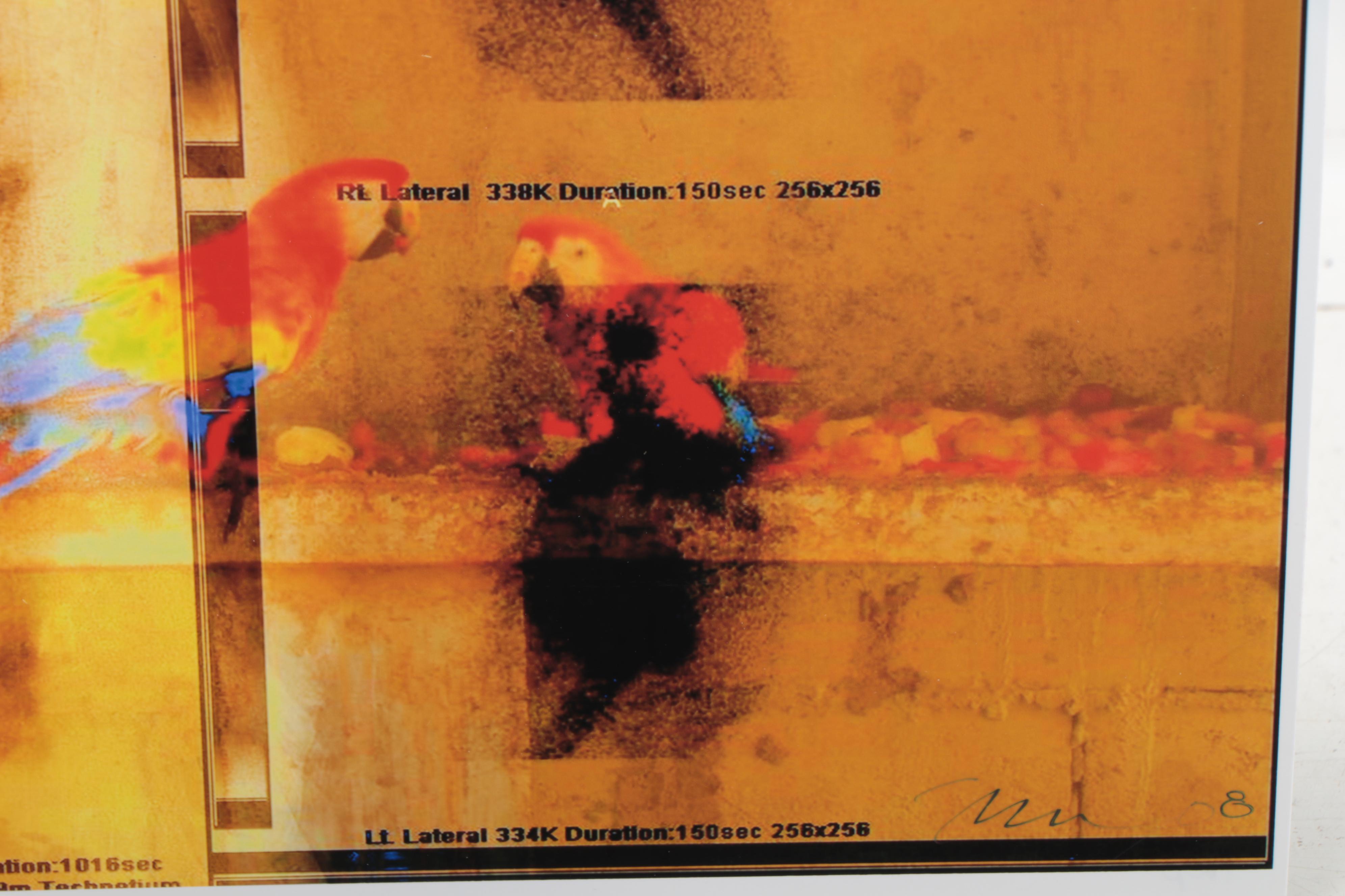 Sarah Roush Abstract Digital Collage, 2008