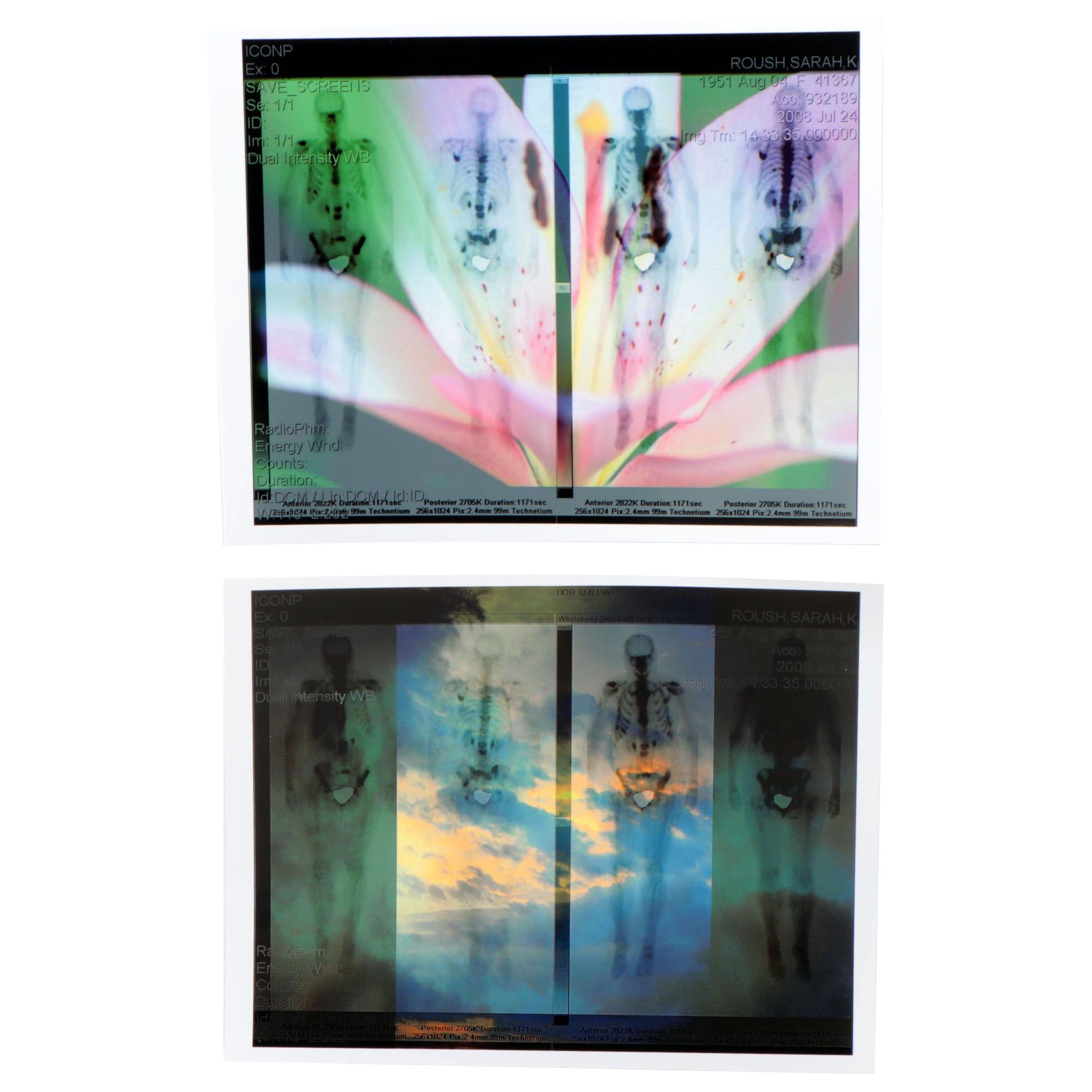 Sarah Roush Abstract Digital Collages