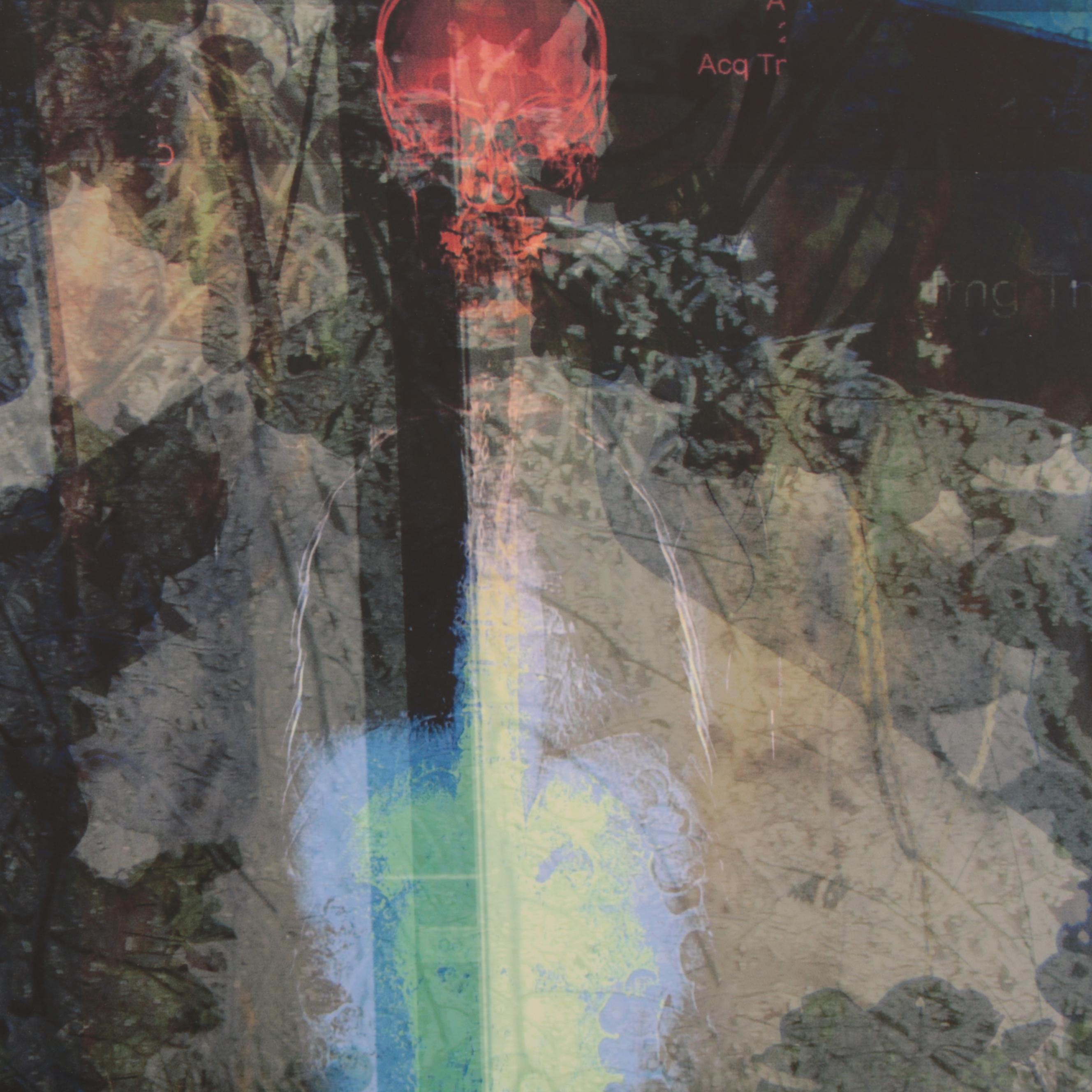 Sarah Roush Abstract Digital Collage