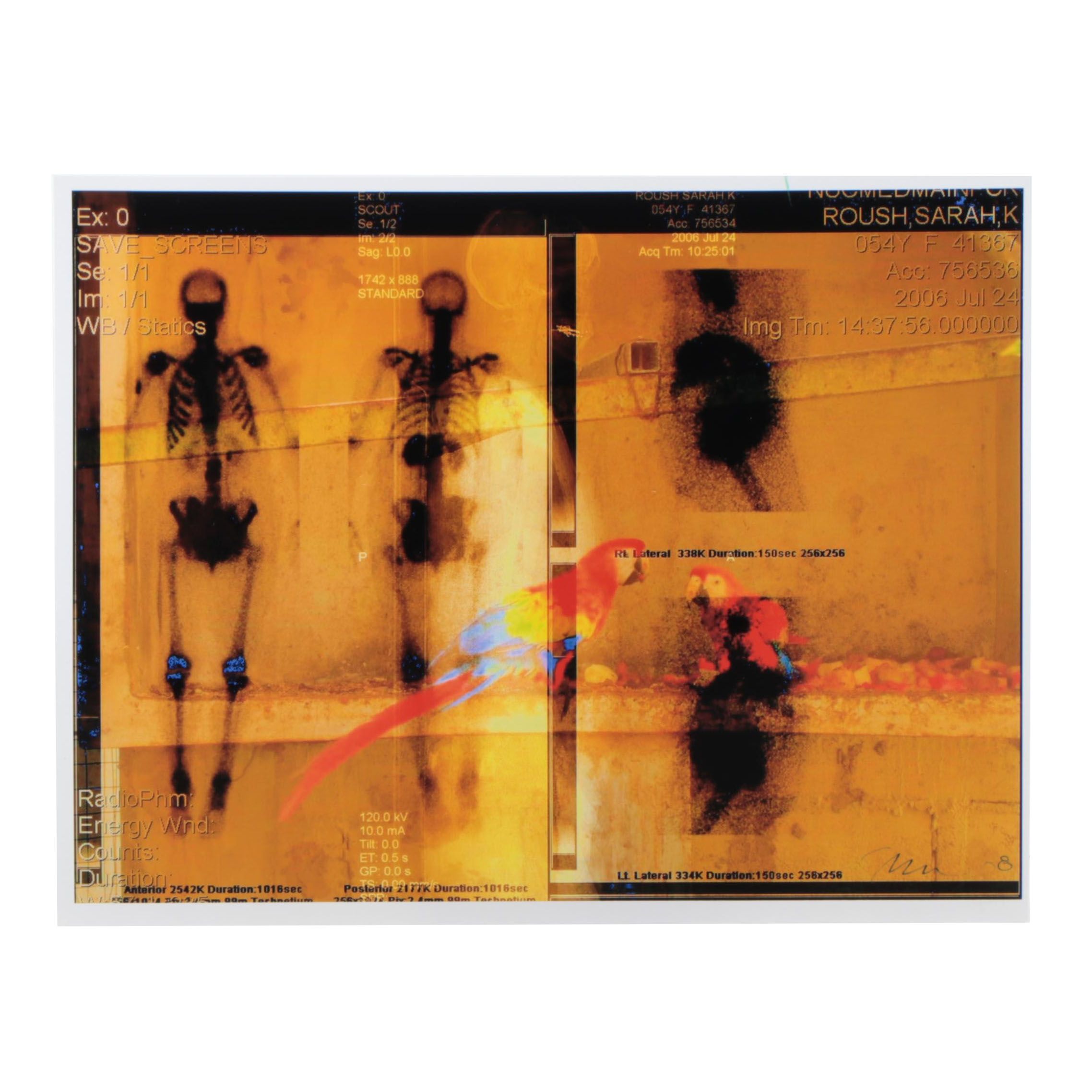 Sarah Roush Abstract Digital Collage, 2008