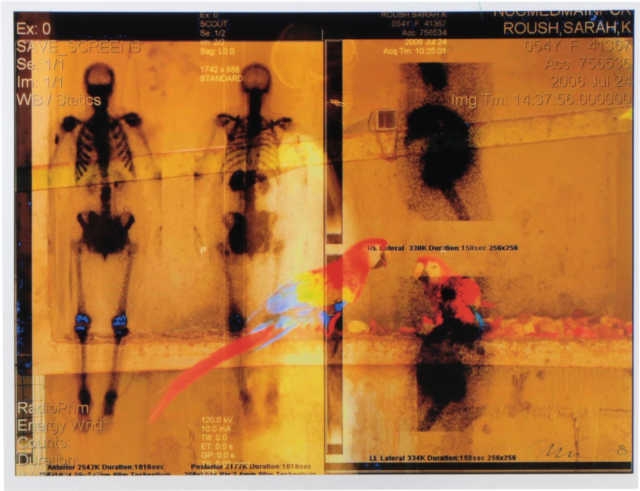 Sarah Roush Abstract Digital Collage, 2008