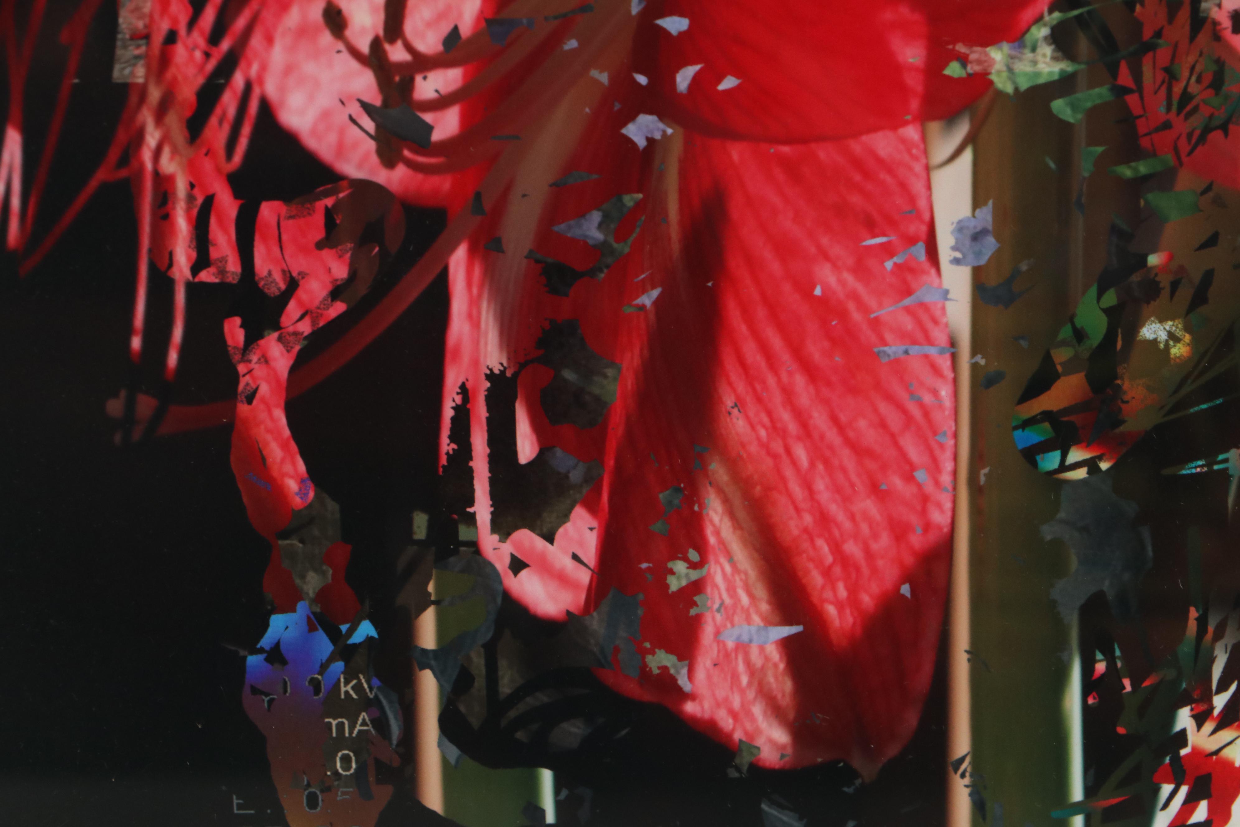 Sarah Roush Digital Collage, 21st Century