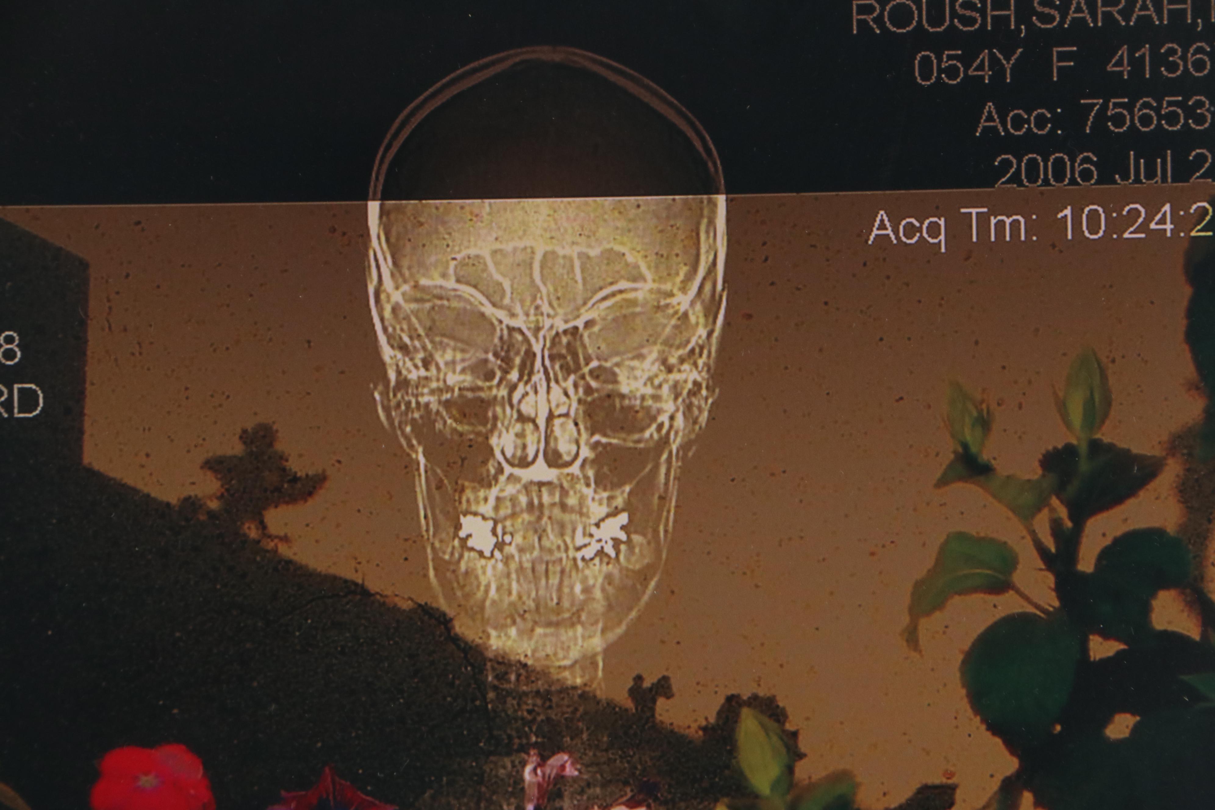 Sarah Roush Digital Collage "In the Photo Garden," 2006