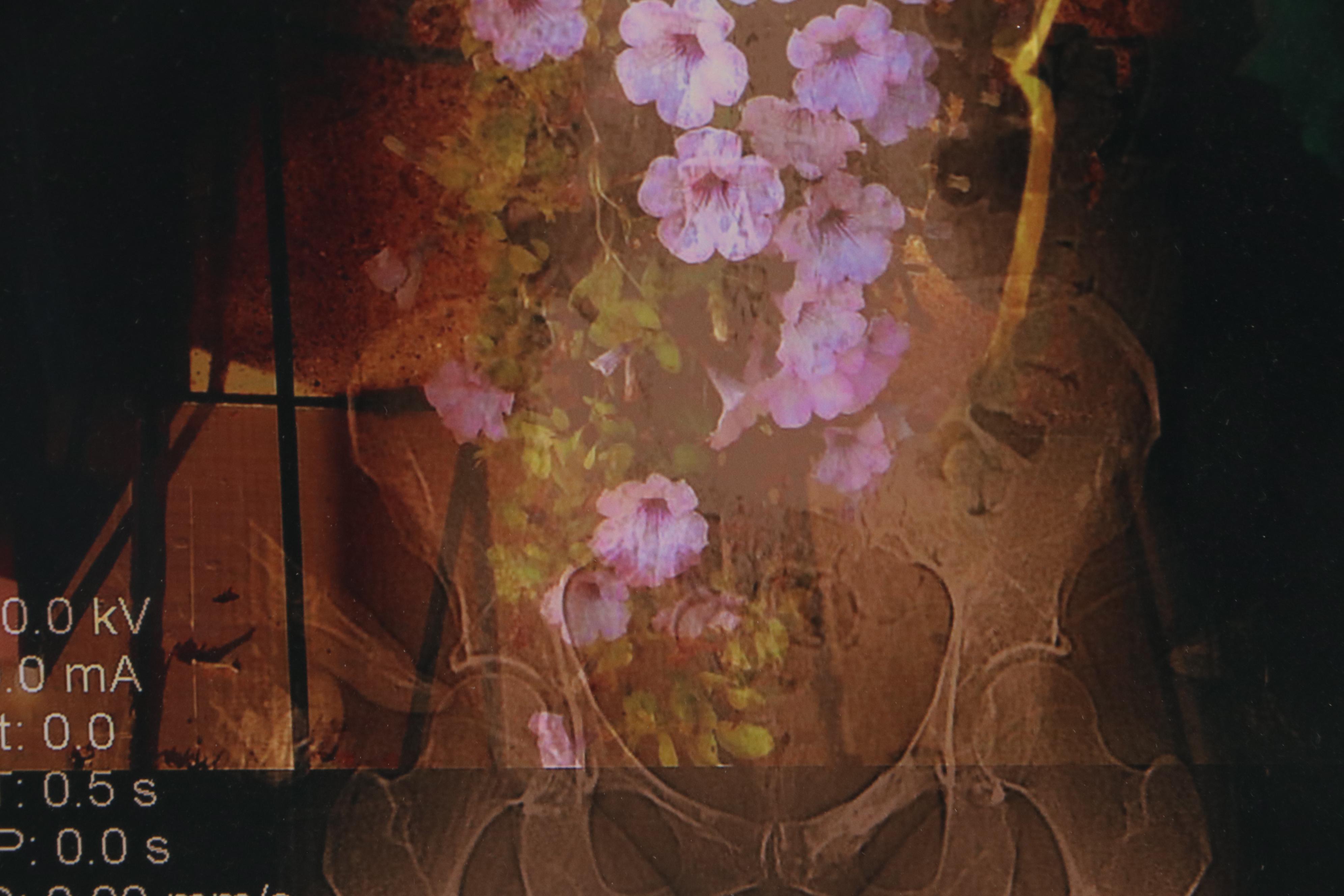 Sarah Roush Digital Collage "In the Photo Garden," 2006