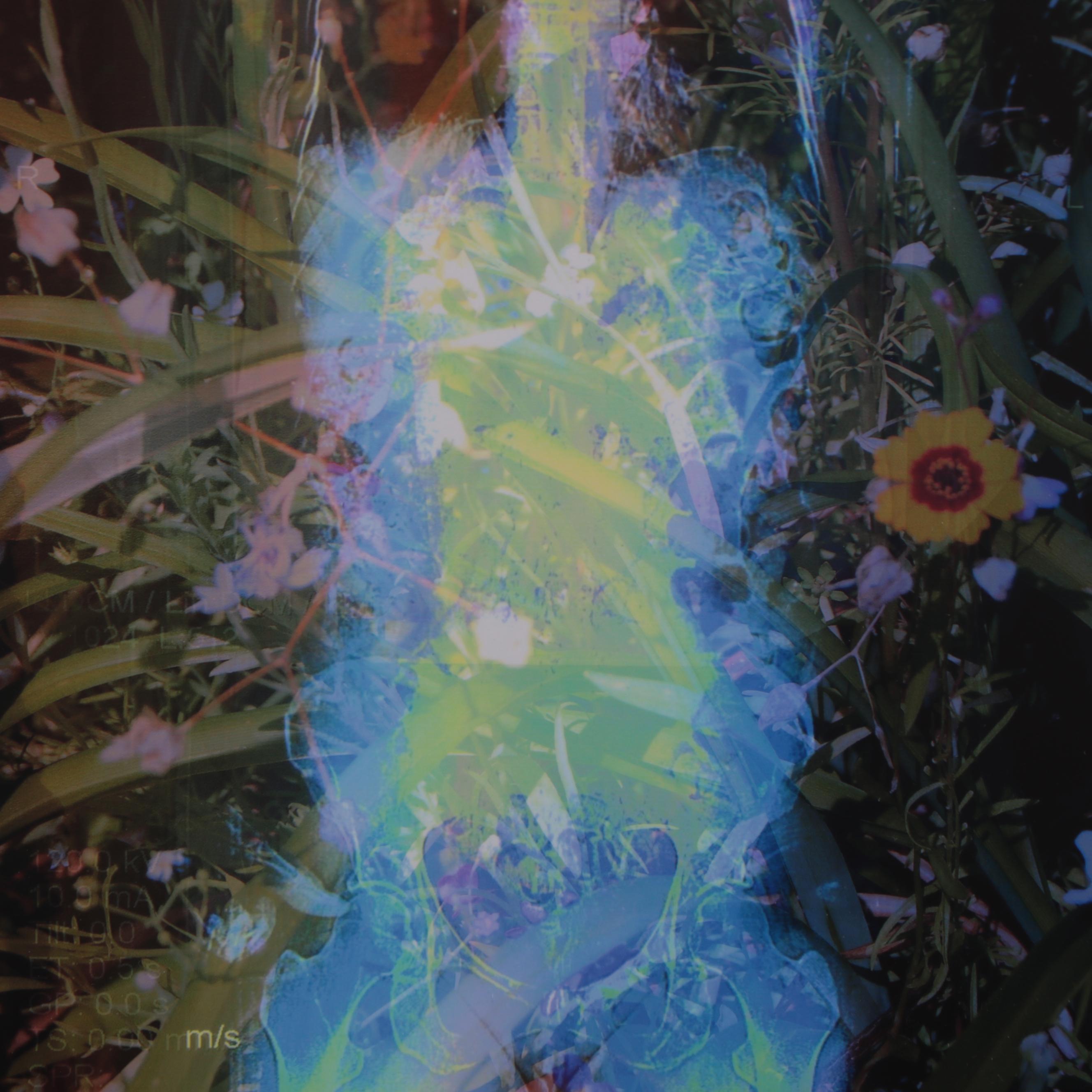 Sarah Roush Abstract Digital Collage