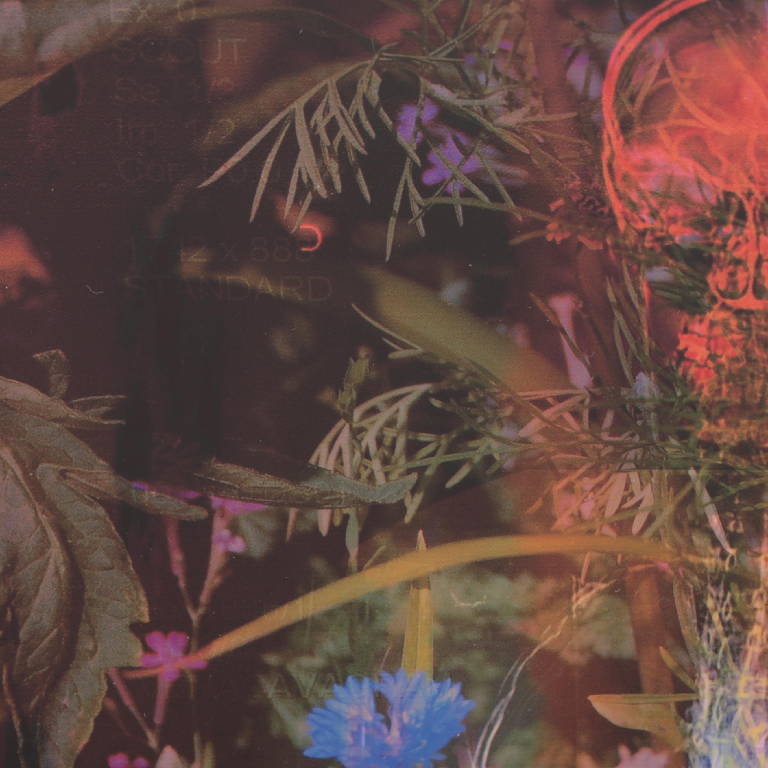 Sarah Roush Abstract Digital Collage