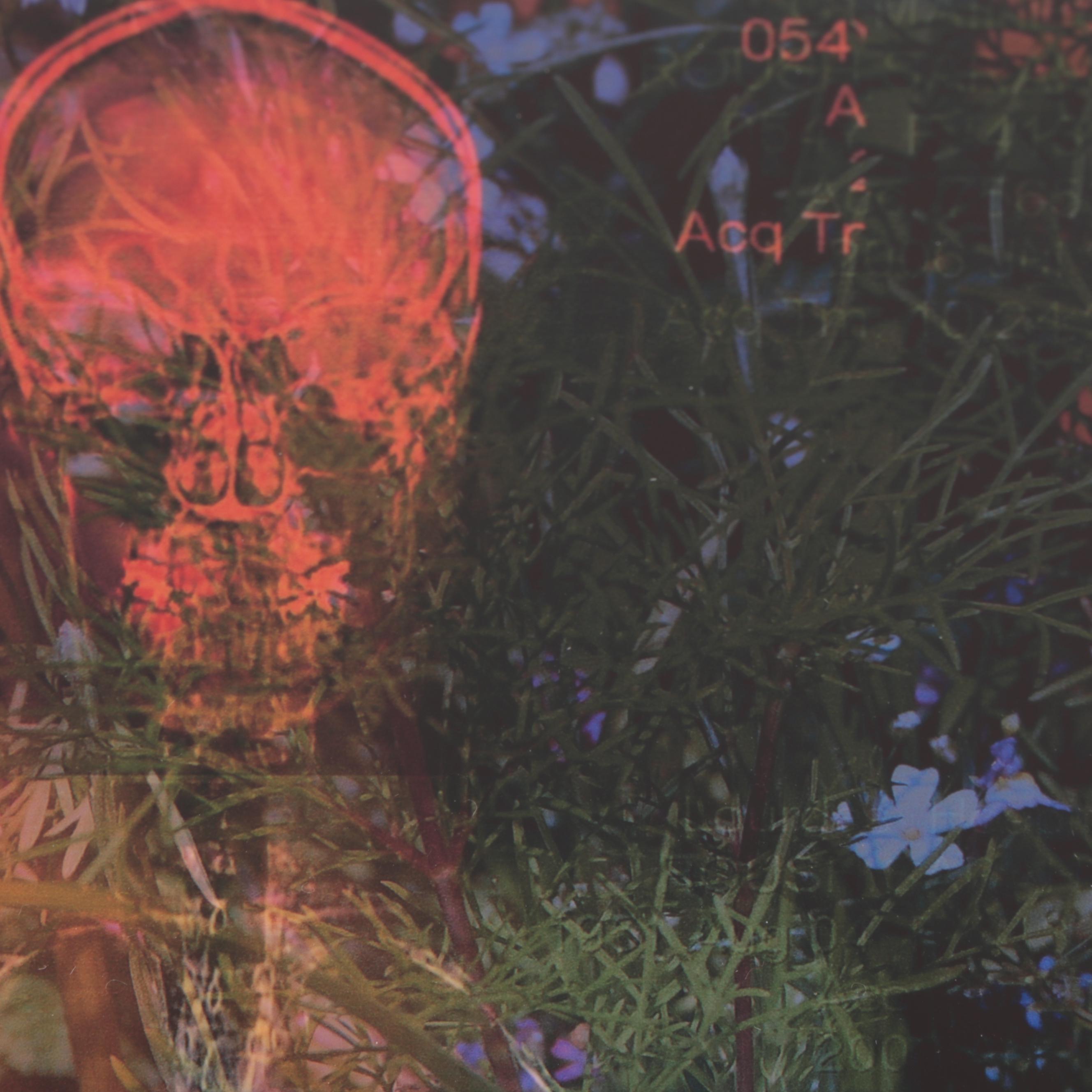 Sarah Roush Abstract Digital Collage