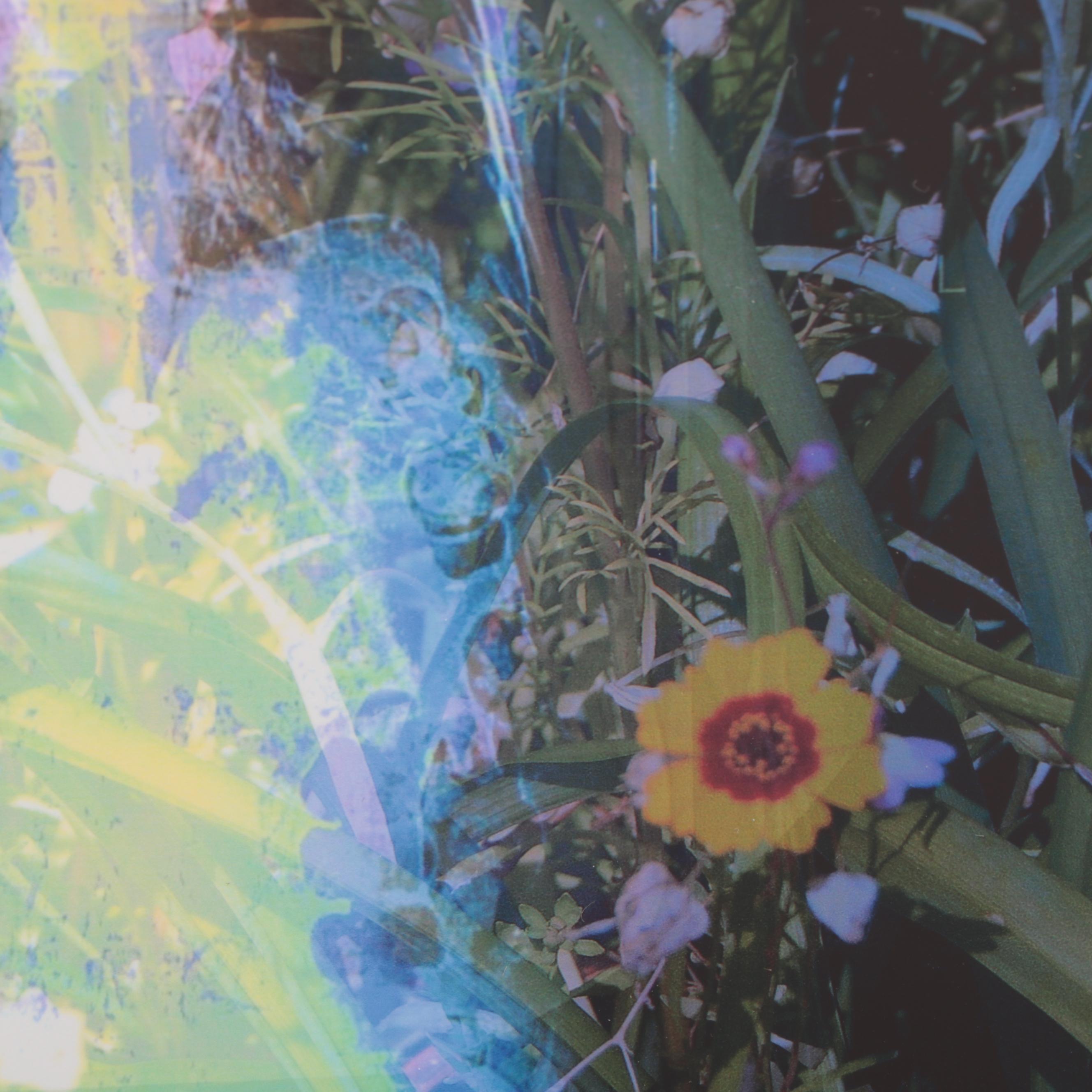 Sarah Roush Abstract Digital Collage