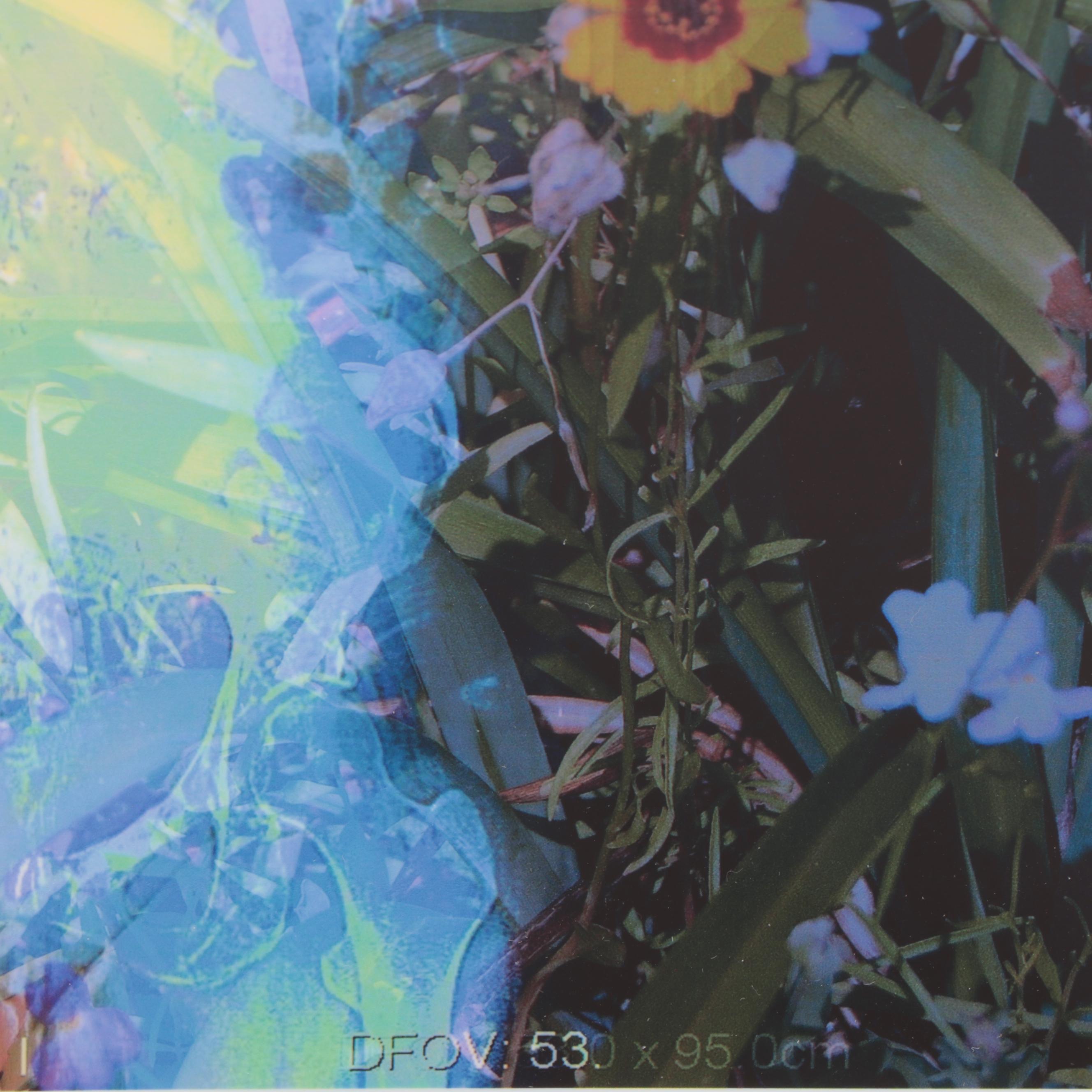 Sarah Roush Abstract Digital Collage