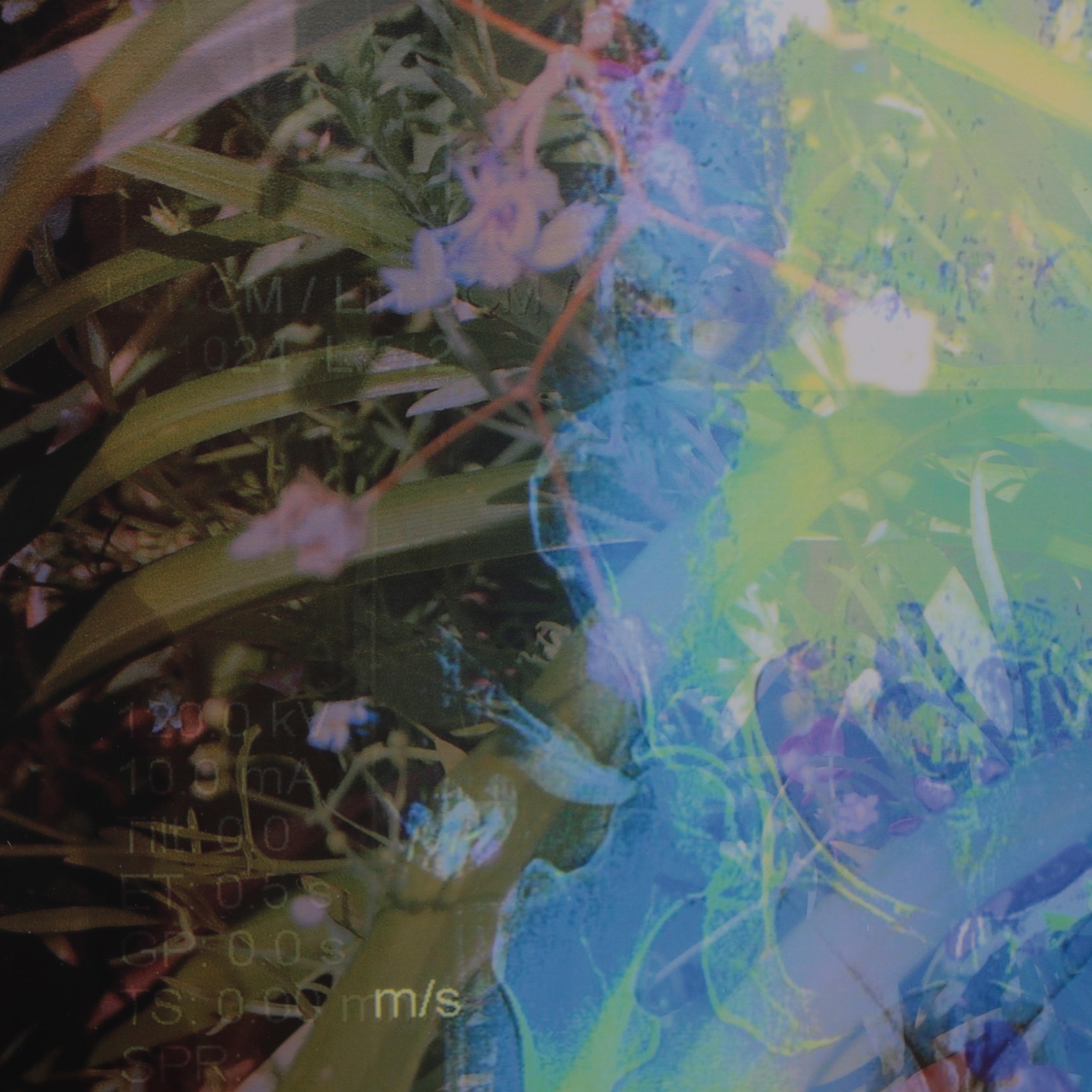 Sarah Roush Abstract Digital Collage