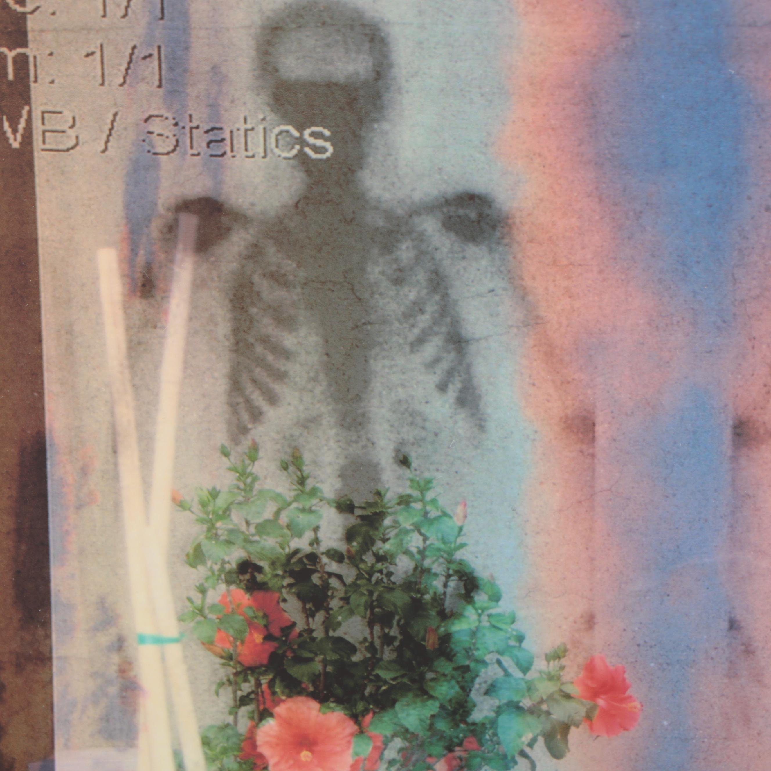 Sarah Roush Abstract Digital Collages, 2008