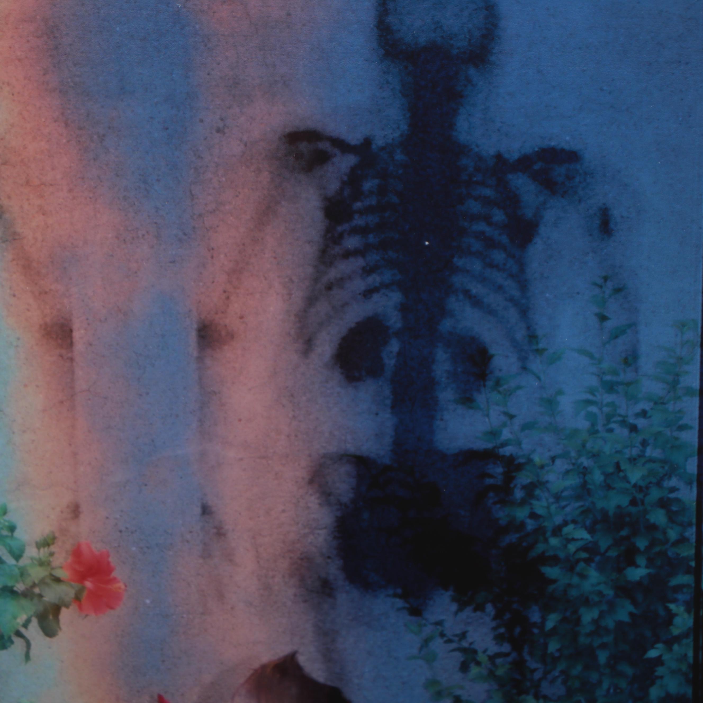 Sarah Roush Abstract Digital Collages, 2008