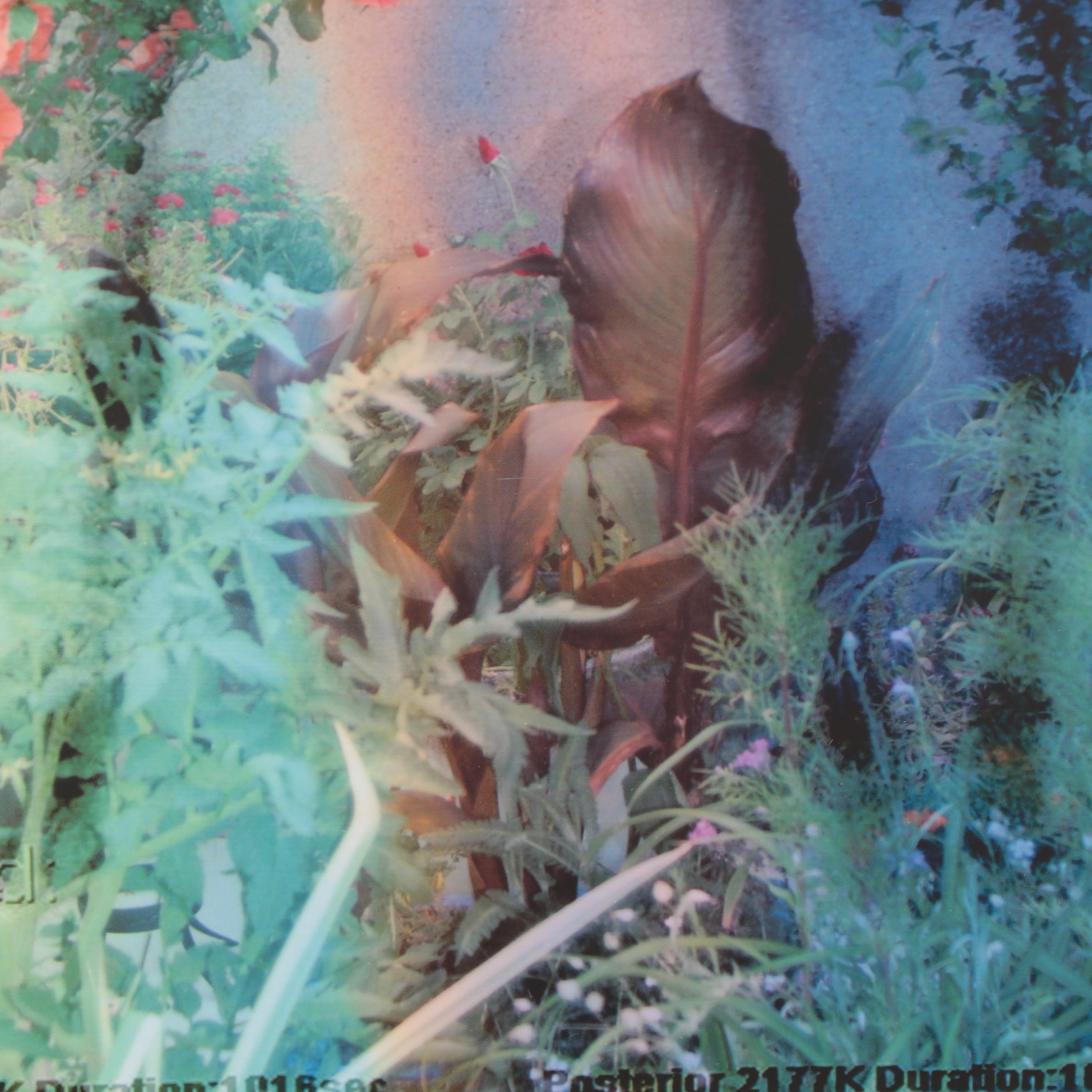 Sarah Roush Abstract Digital Collages, 2008