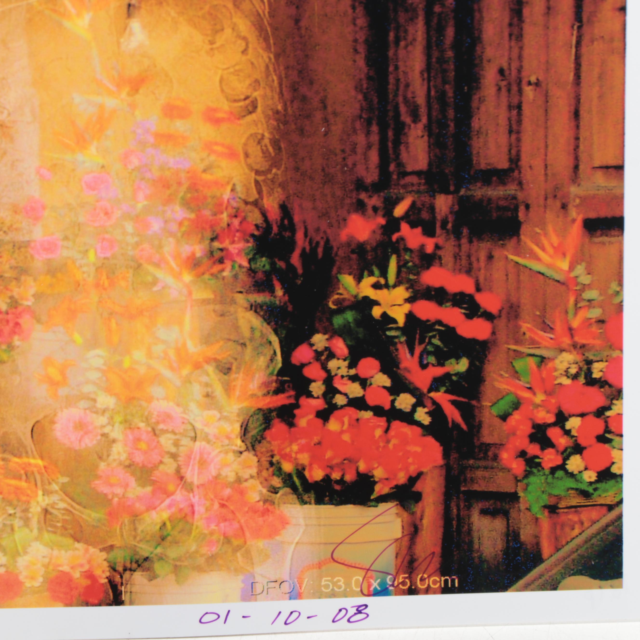 Sarah Roush Abstract Digital Collages, 2008