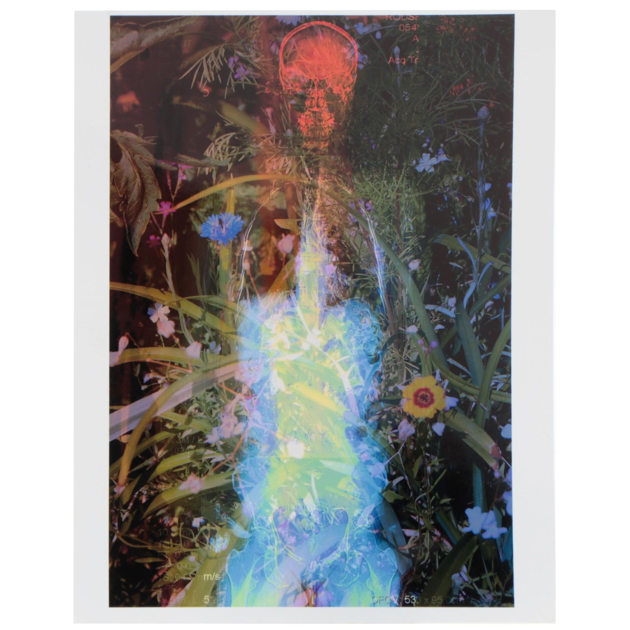 Sarah Roush Abstract Digital Collage