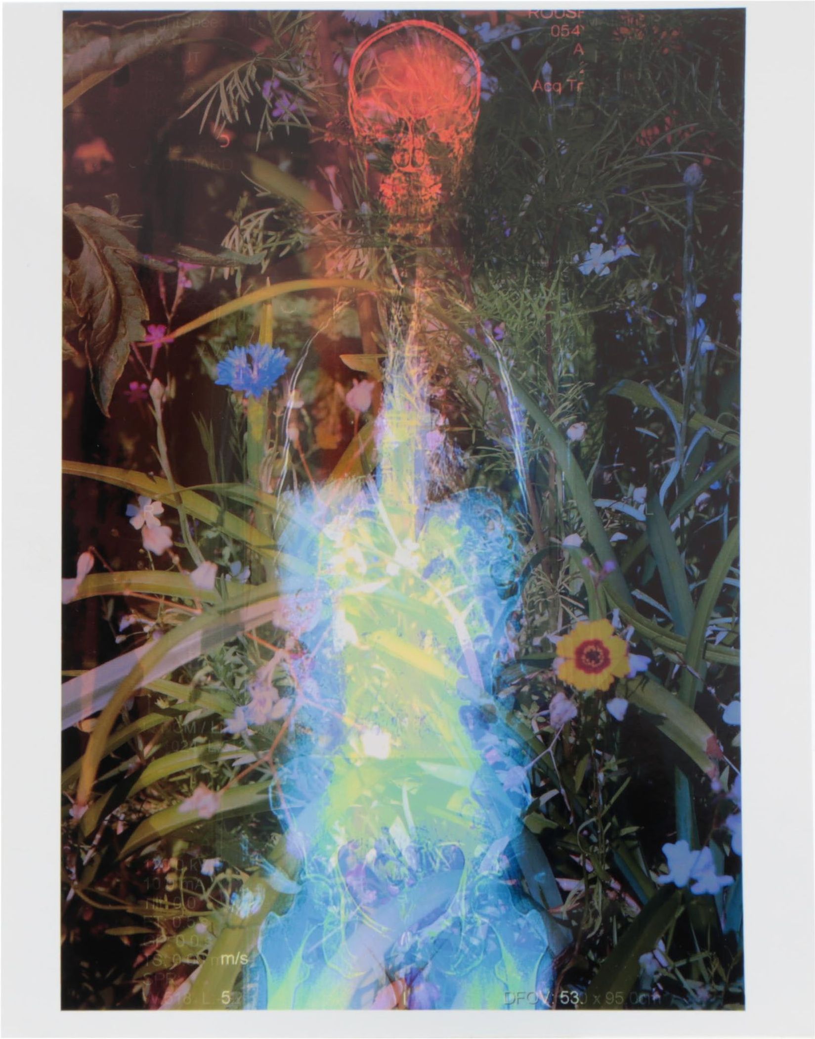 Sarah Roush Abstract Digital Collage