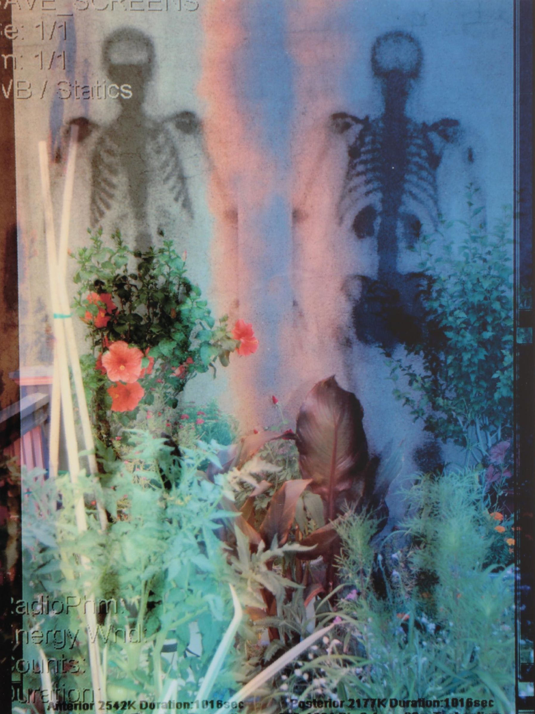 Sarah Roush Abstract Digital Collages, 2008