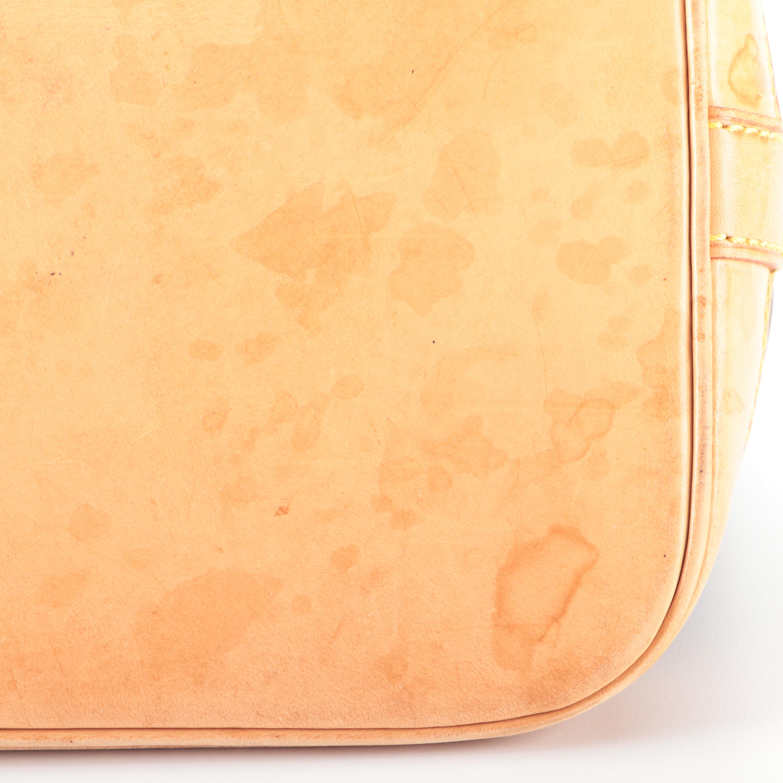 Louis Vuitton Alma PM in Monogram Canvas and Vachetta Leather