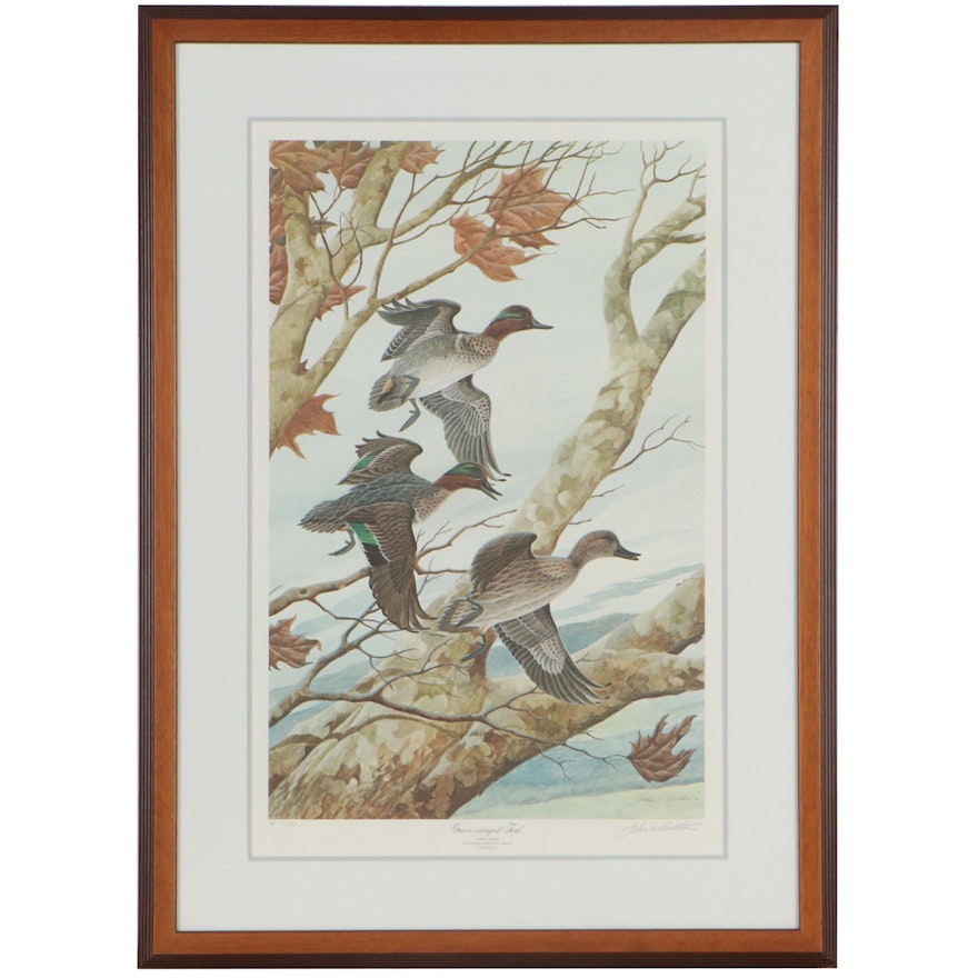 John Ruthven Offset Lithograph "Green-winged Teal"