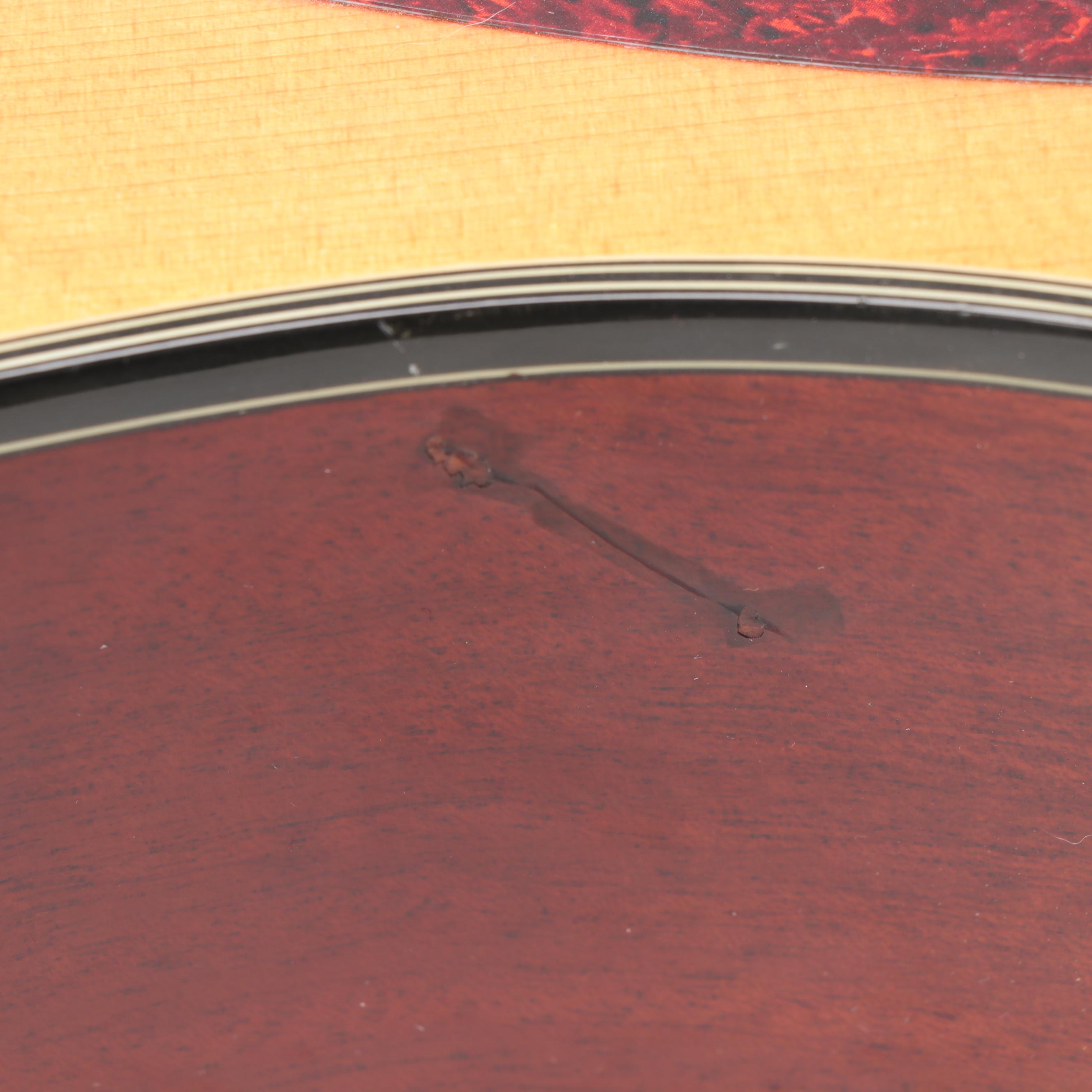 Ibanez Performance Acoustic Guitar