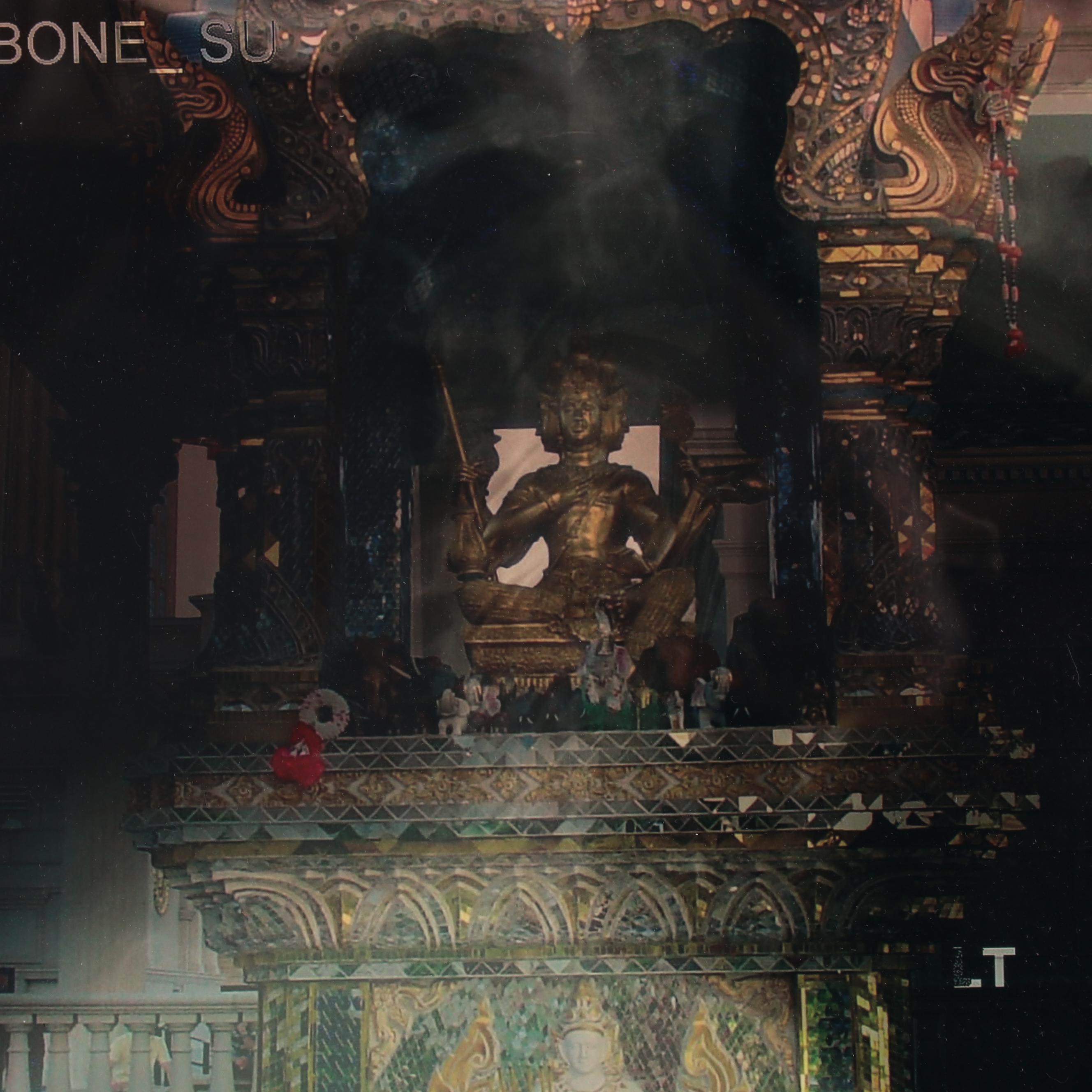 Sarah Roush Digital Collage, 2008