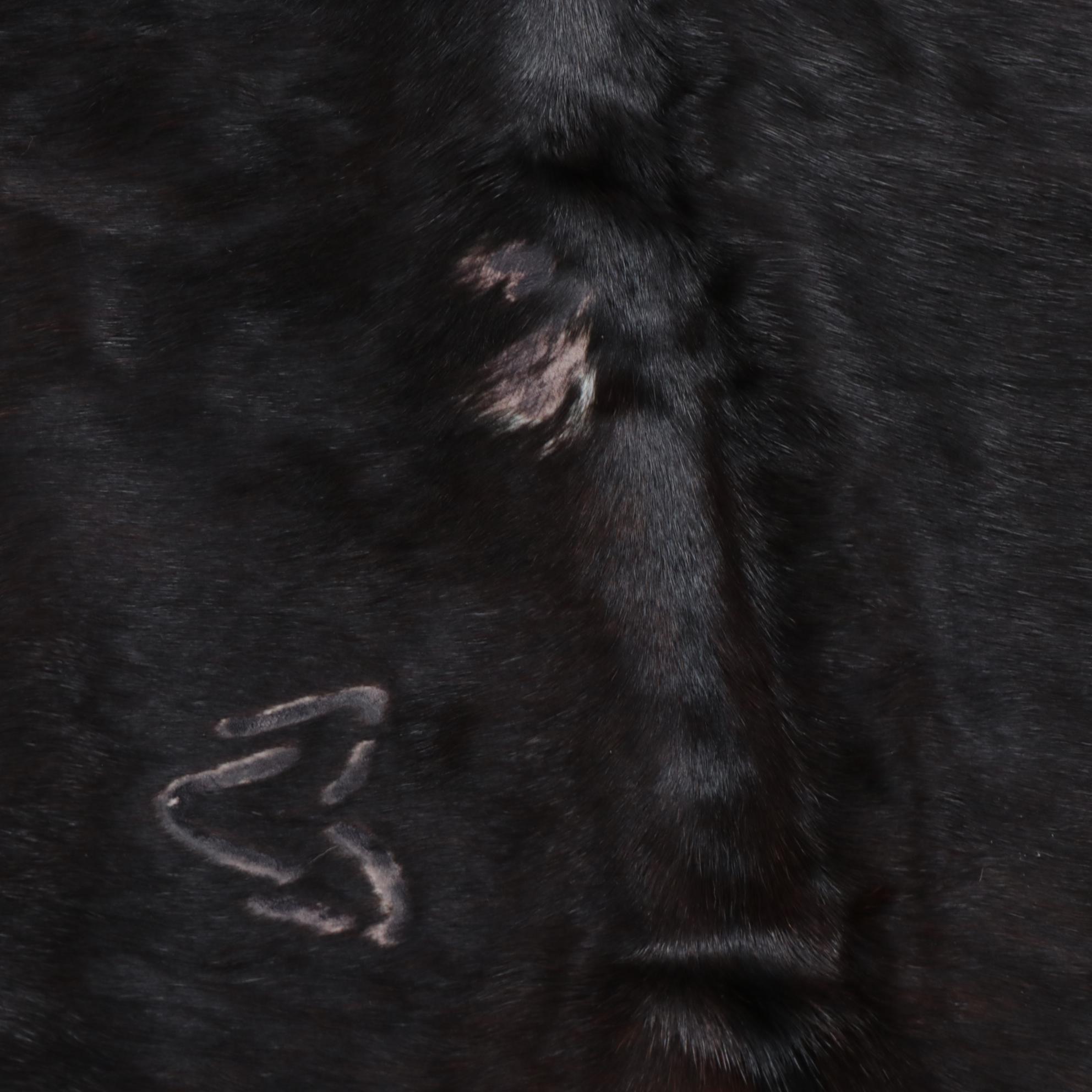 6'7 x 8'1 IKEA Cowhide Area Rug with Brand Marks