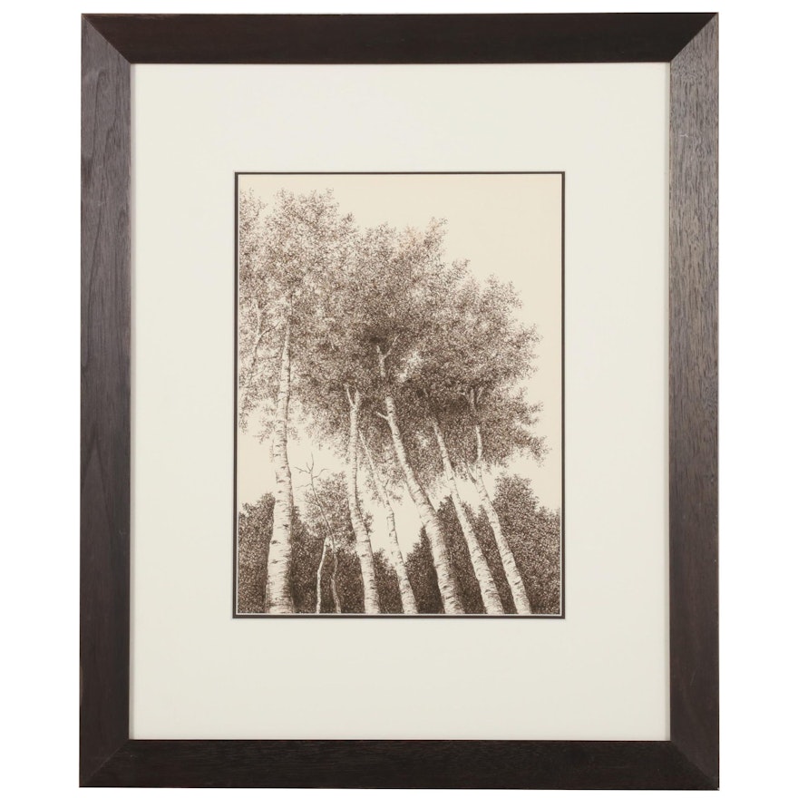 Nancy J. Grey Ink Drawing of Birch Trees, 1986