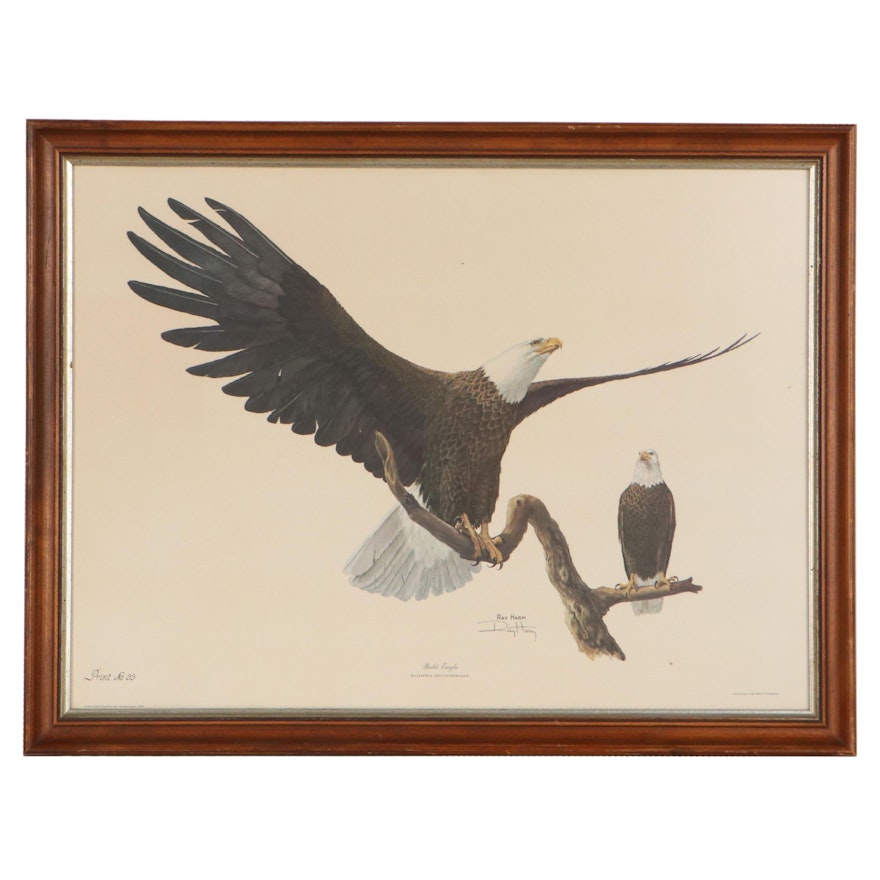 Offset Lithograph After Ray Harm "Bald Eagle"