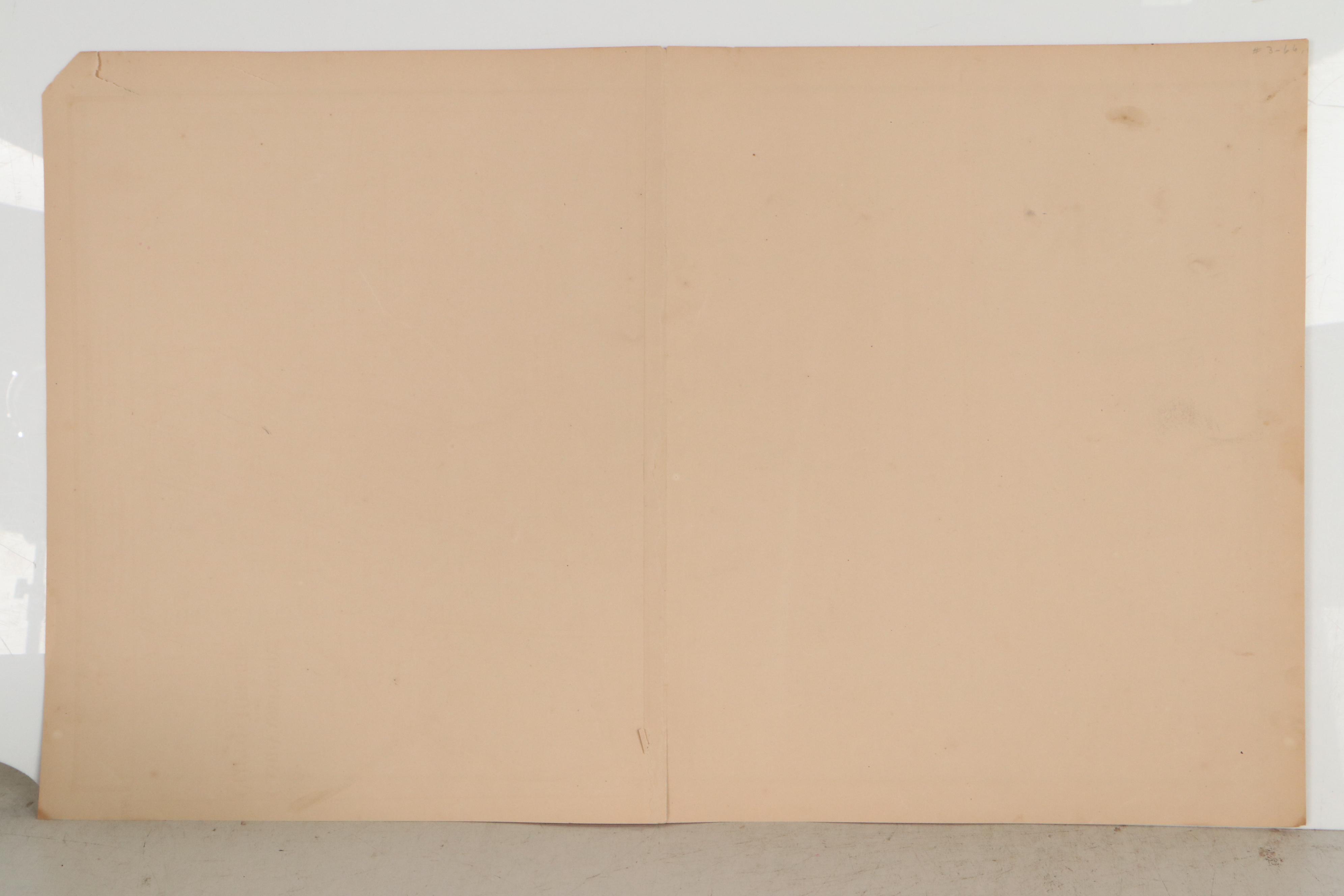 Hand-Colored Lithograph Map of Walnut Hills, Ohio, 1869