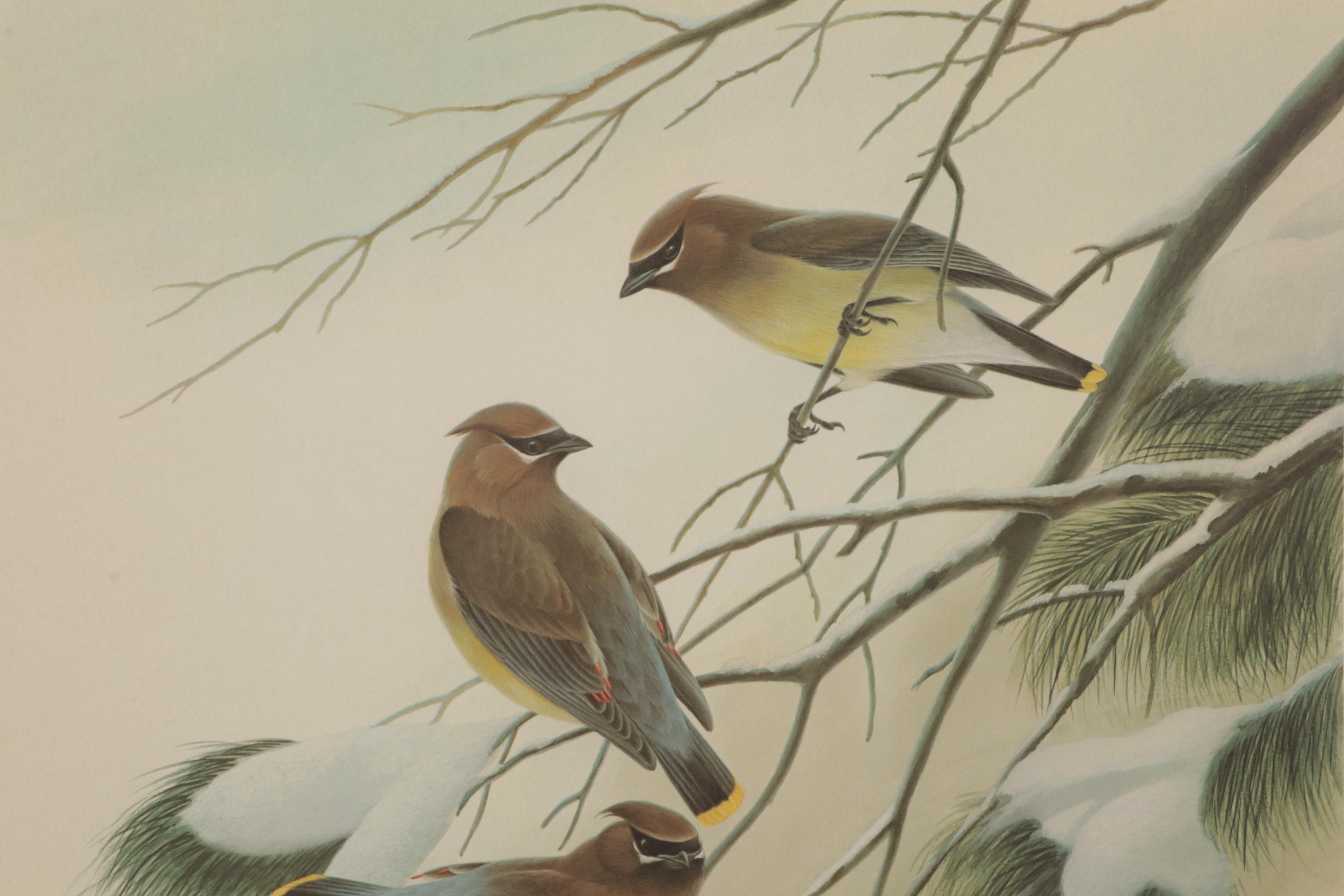 John A. Ruthven Offset Lithograph "Cedar Waxwings," Circa 1972