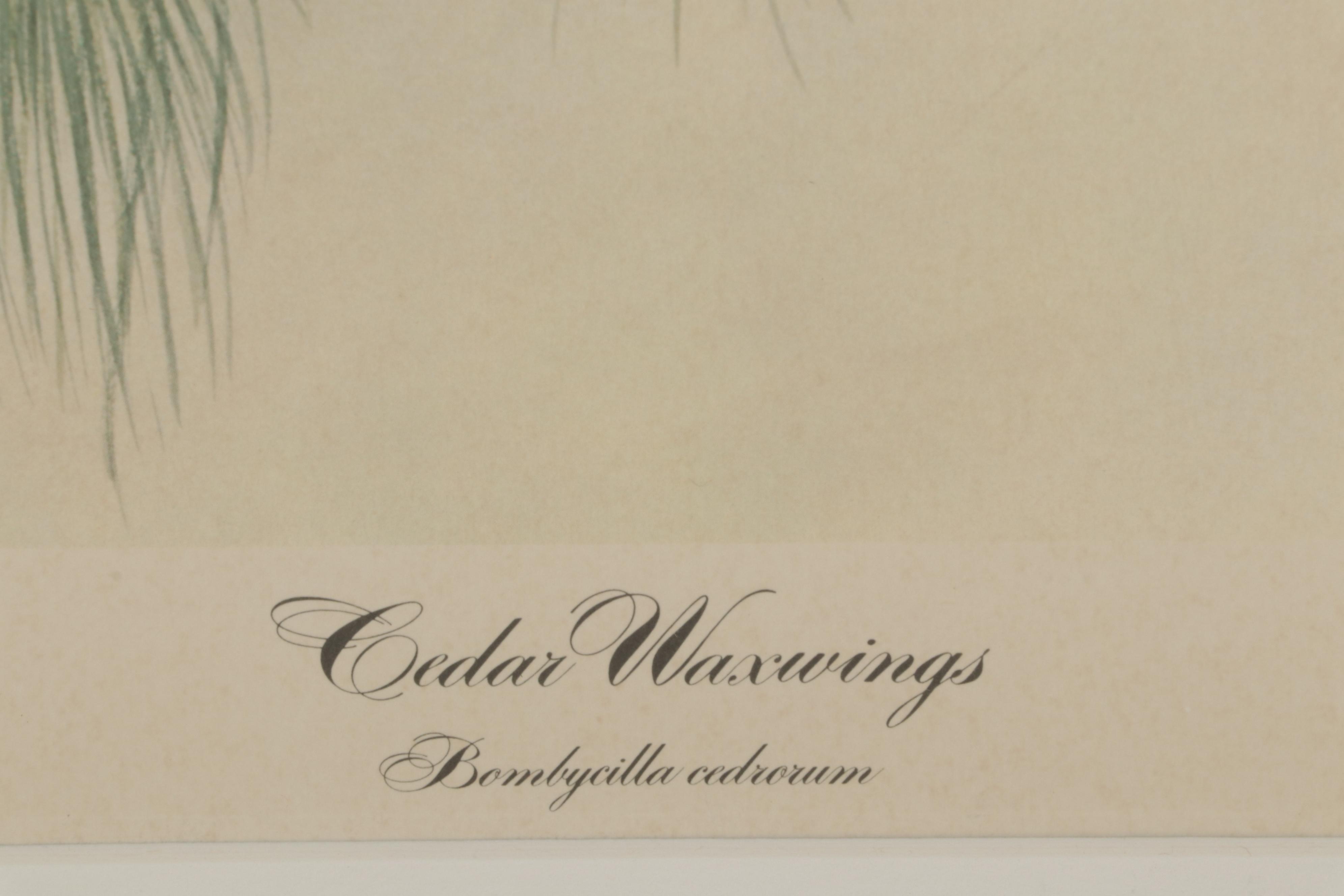 John A. Ruthven Offset Lithograph "Cedar Waxwings," Circa 1972