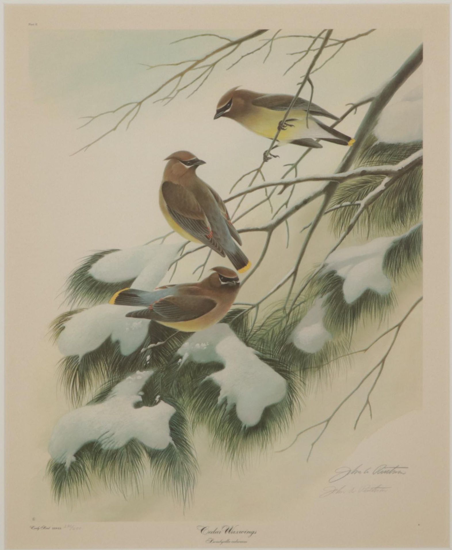 John A. Ruthven Offset Lithograph "Cedar Waxwings," Circa 1972