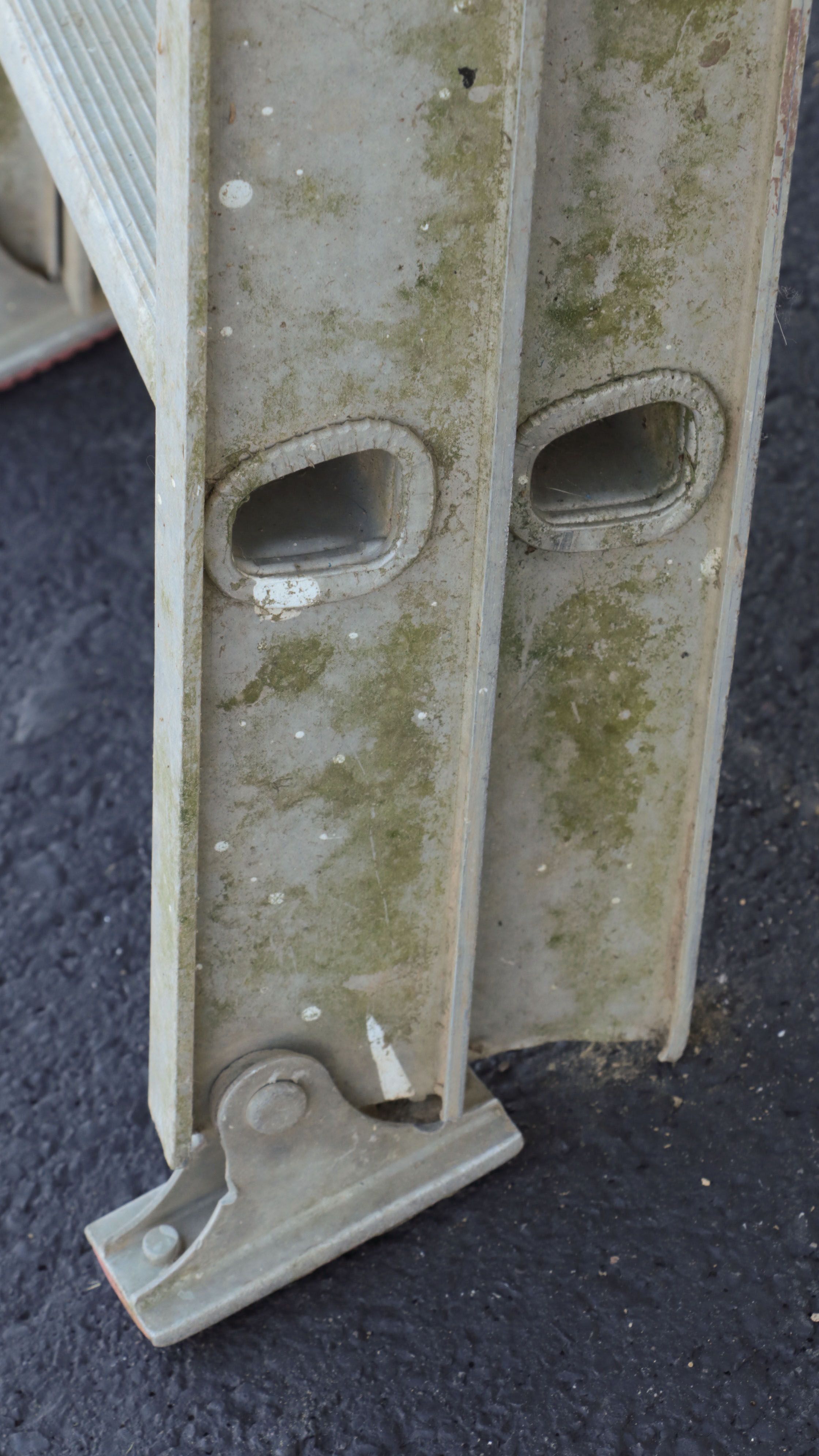 Werner Fiberglass and Aluminum Extension Ladders