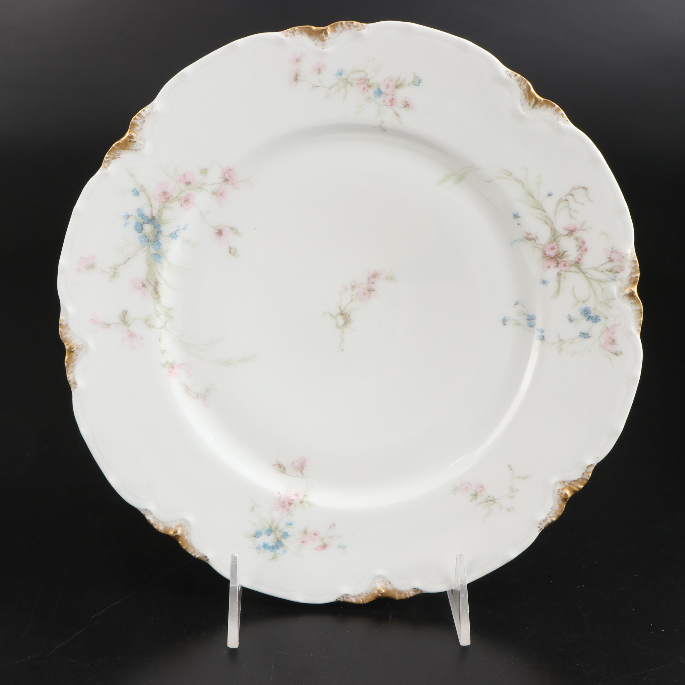 Haviland & Co. Limoges Floral Porcelain Dinner Plates