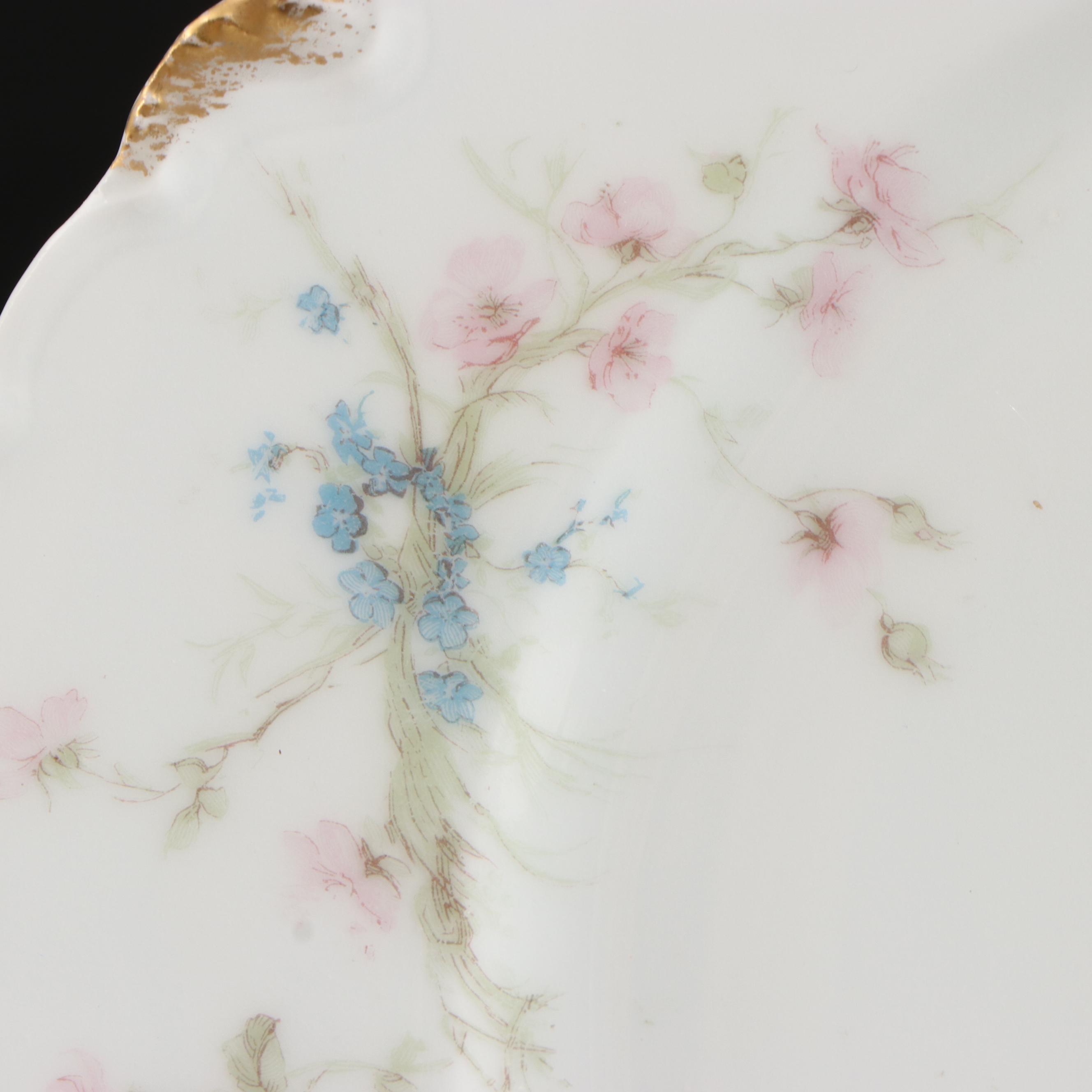 Haviland & Co. Limoges Floral Porcelain Dinner Plates