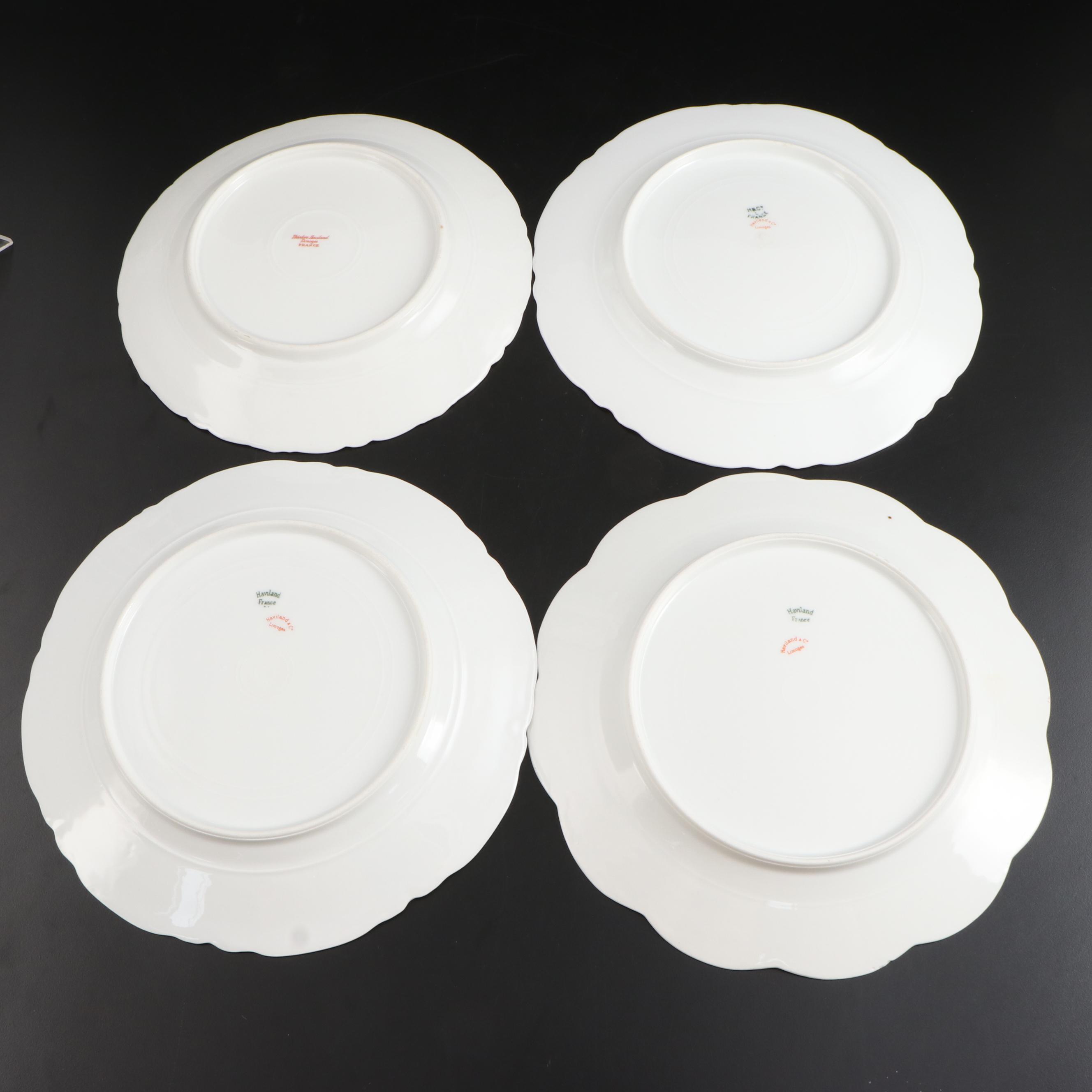 Haviland & Co. Limoges Floral Porcelain Dinner Plates