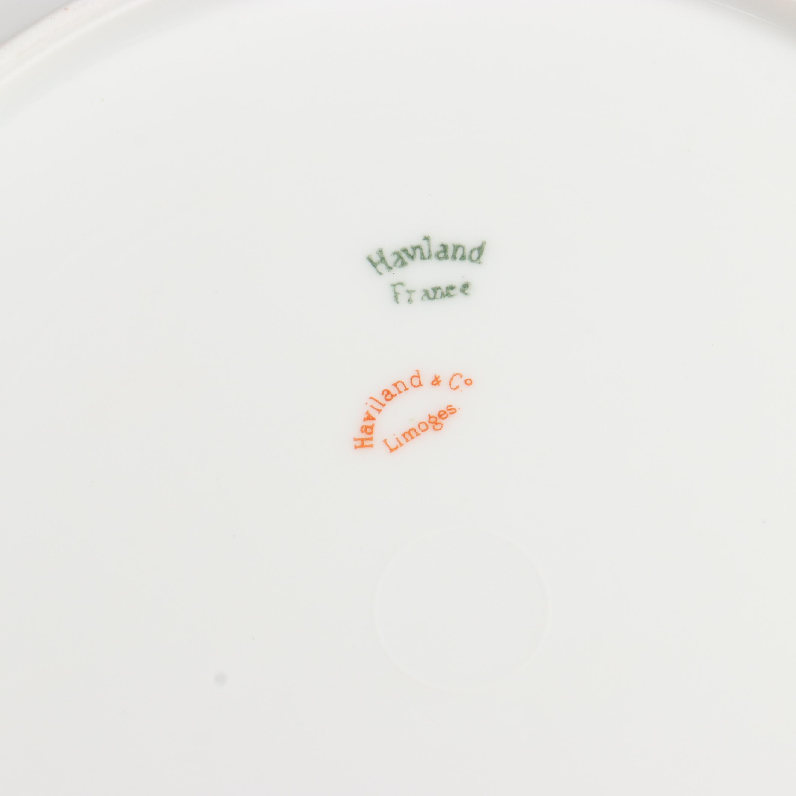Haviland & Co. Limoges Floral Porcelain Dinner Plates