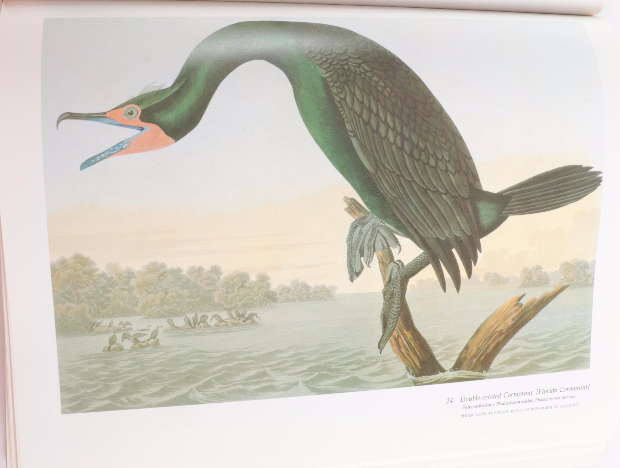 "Audubon's Birds of America" Baby Elephant Folio by the Petersons, 1981