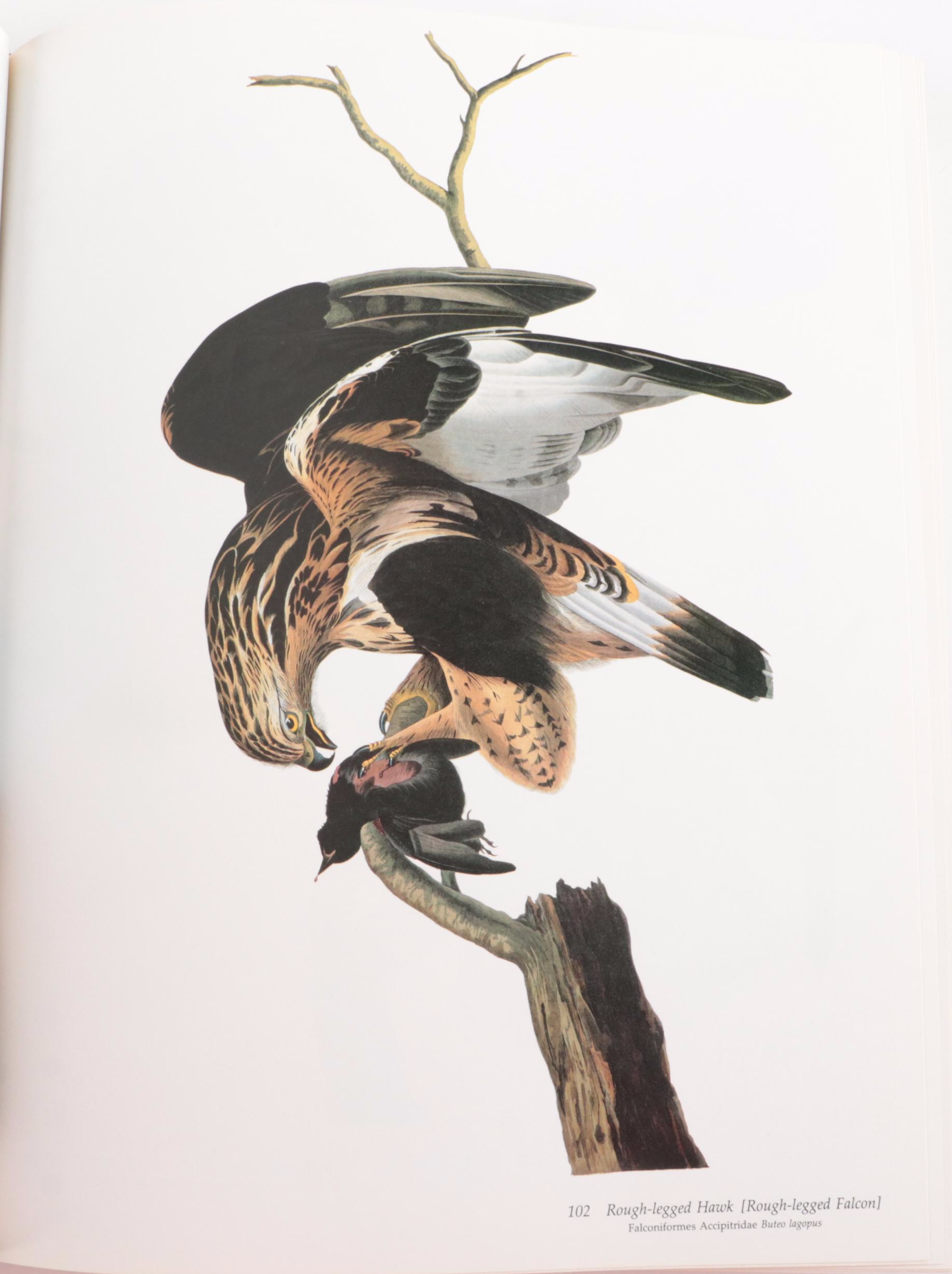 "Audubon's Birds of America" Baby Elephant Folio by the Petersons, 1981