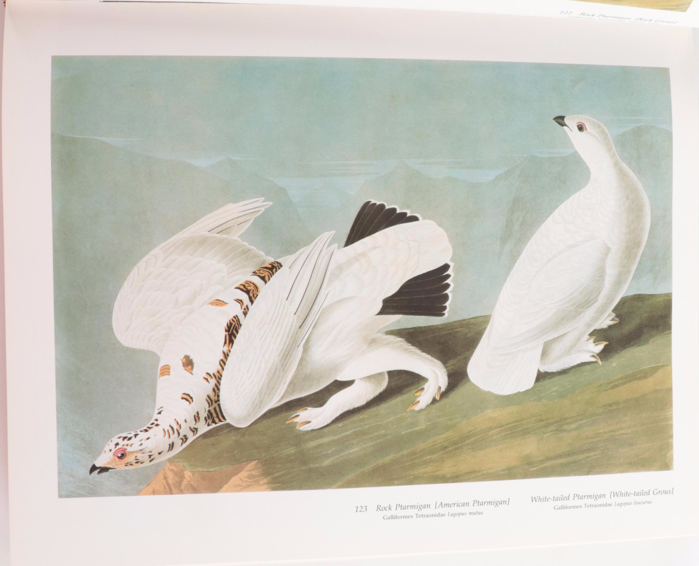 "Audubon's Birds of America" Baby Elephant Folio by the Petersons, 1981